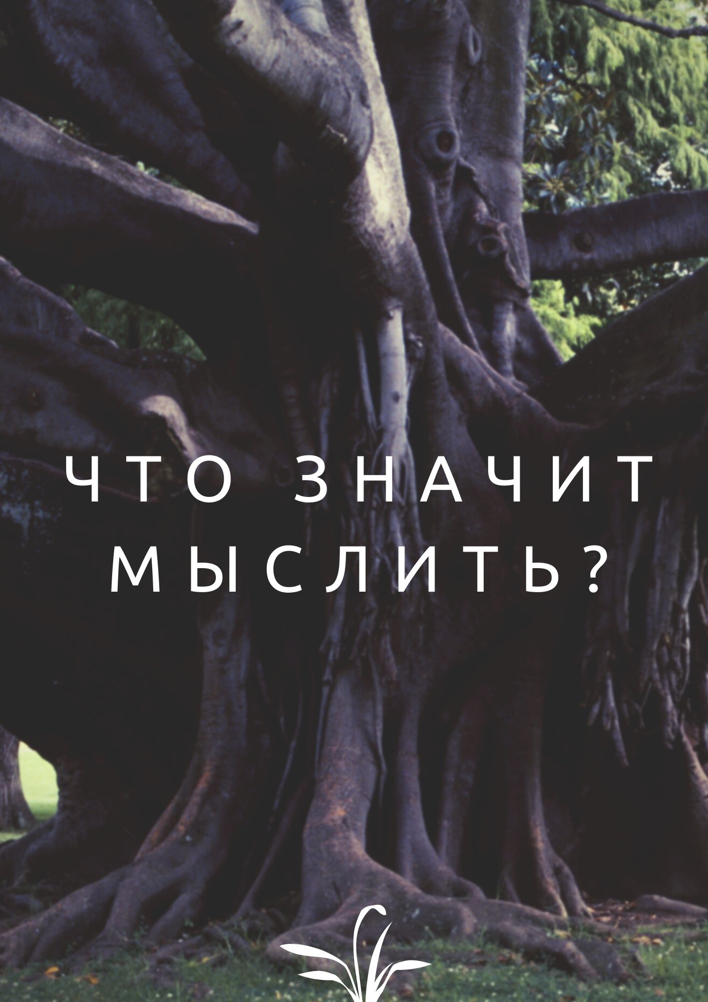 Файлы из библиотеки