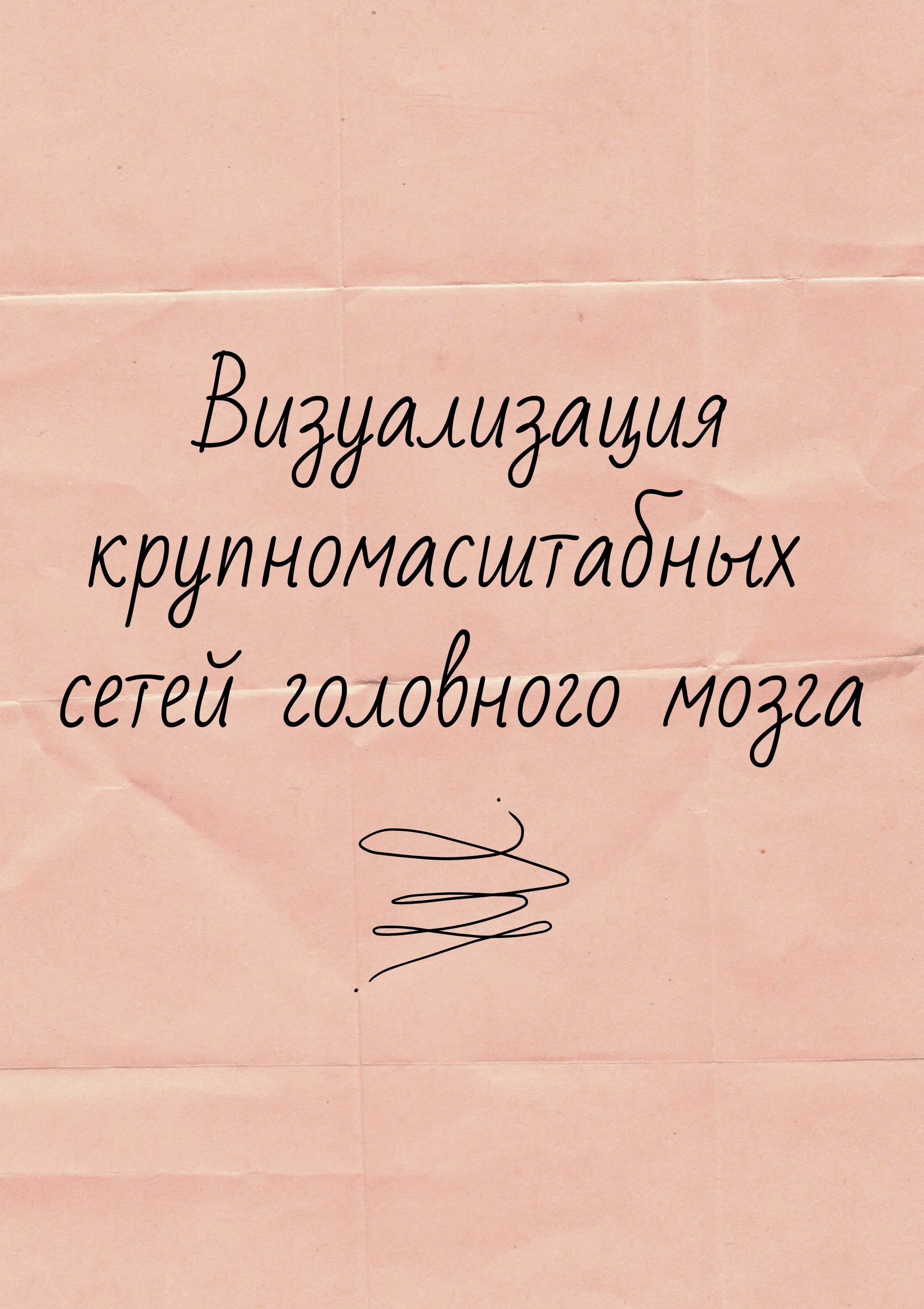Визуализация крупномасштабных сетей головного мозга