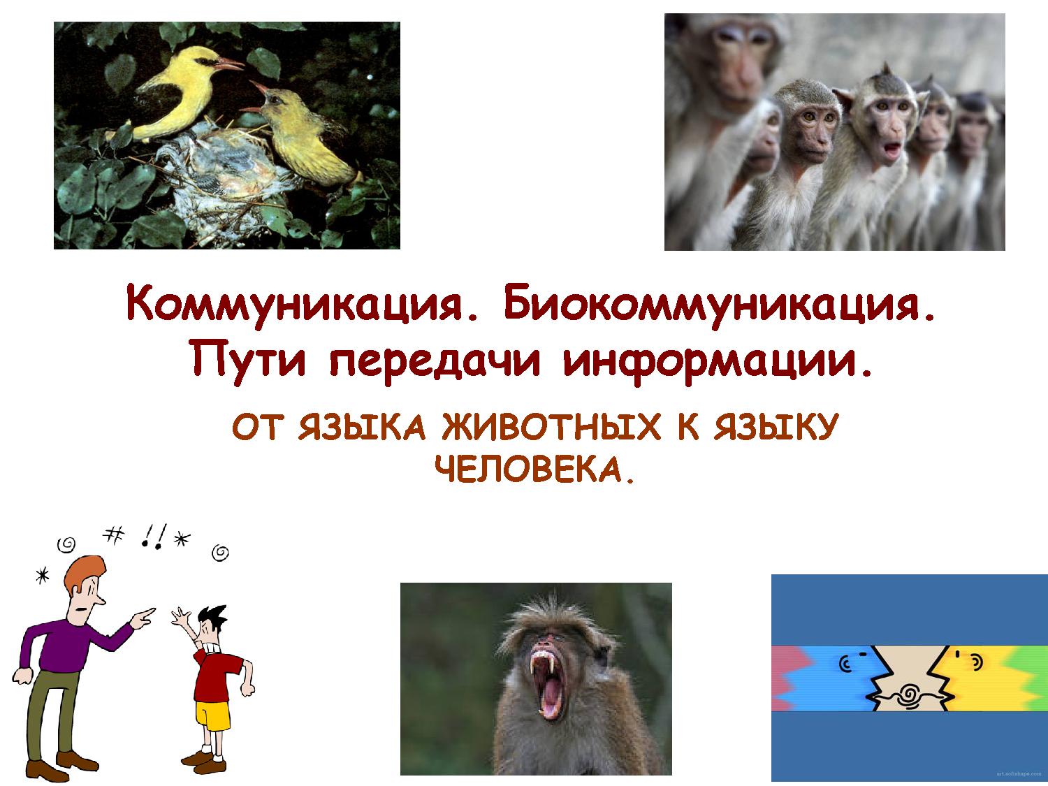 Коммуникация. Биокоммуникация. Пути передачи информации.От языка животных к языку человека
