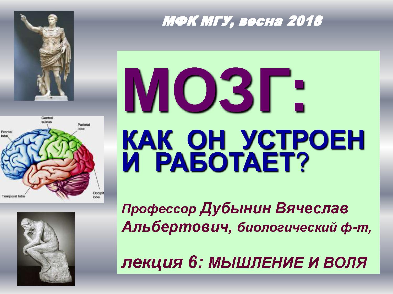 Мышление и воля