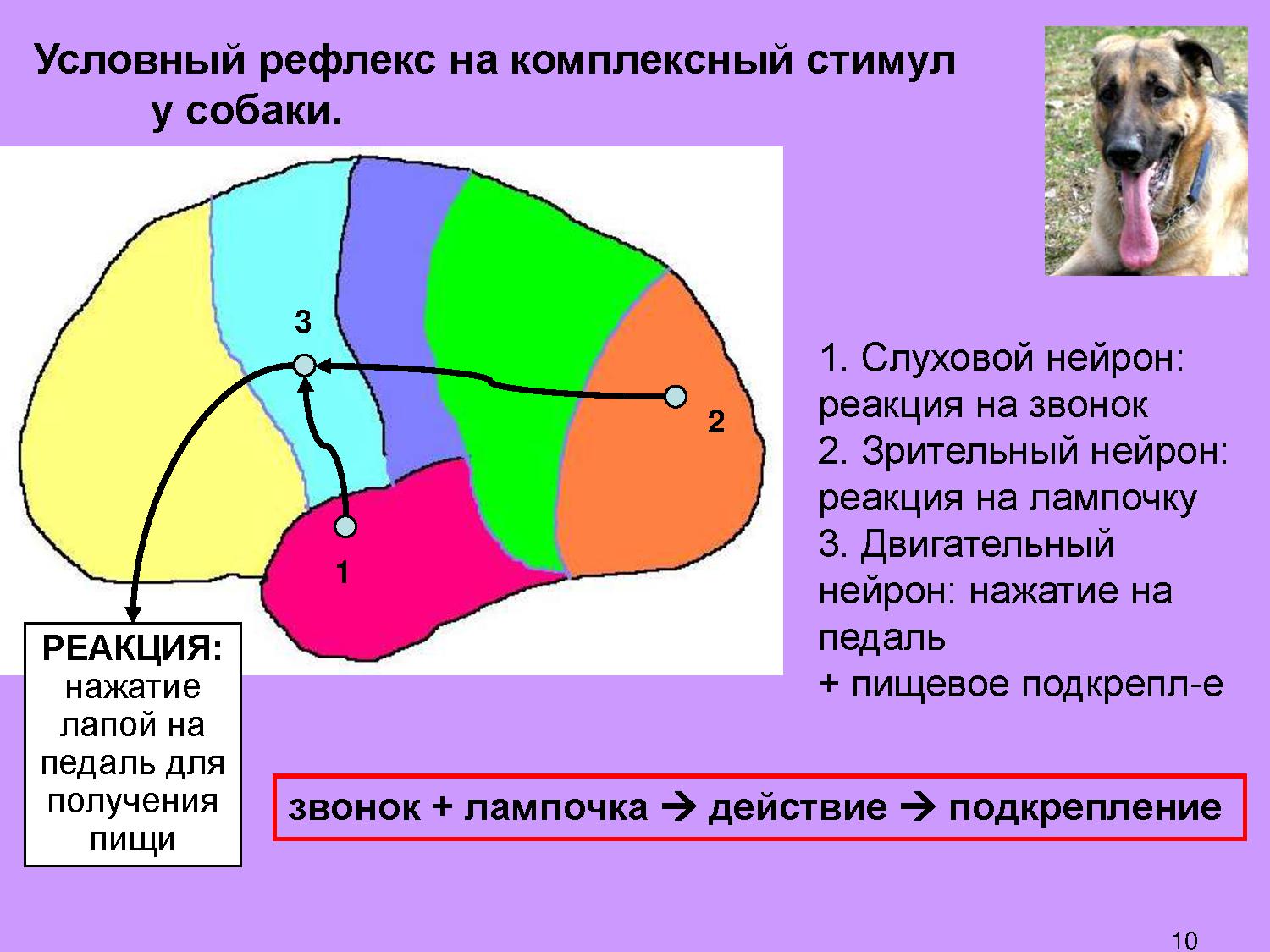 Мышление и воля | Дефектология Проф