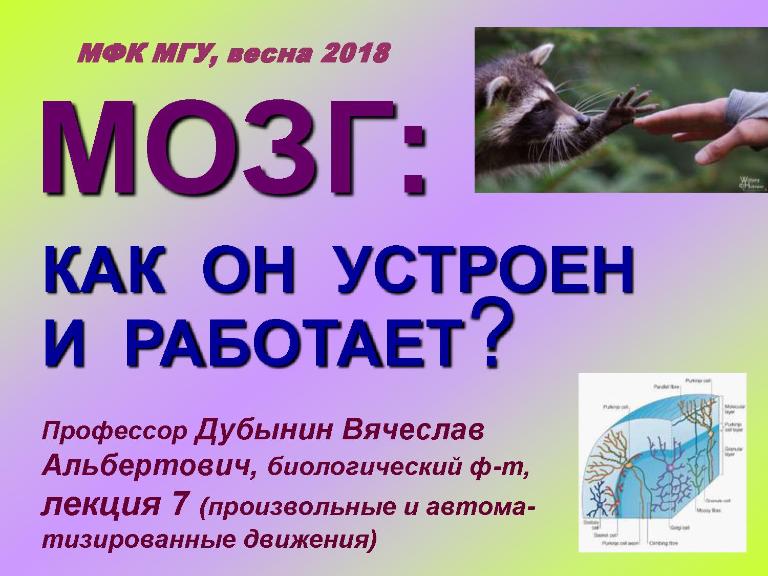 Произвольные и автоматизированные движения