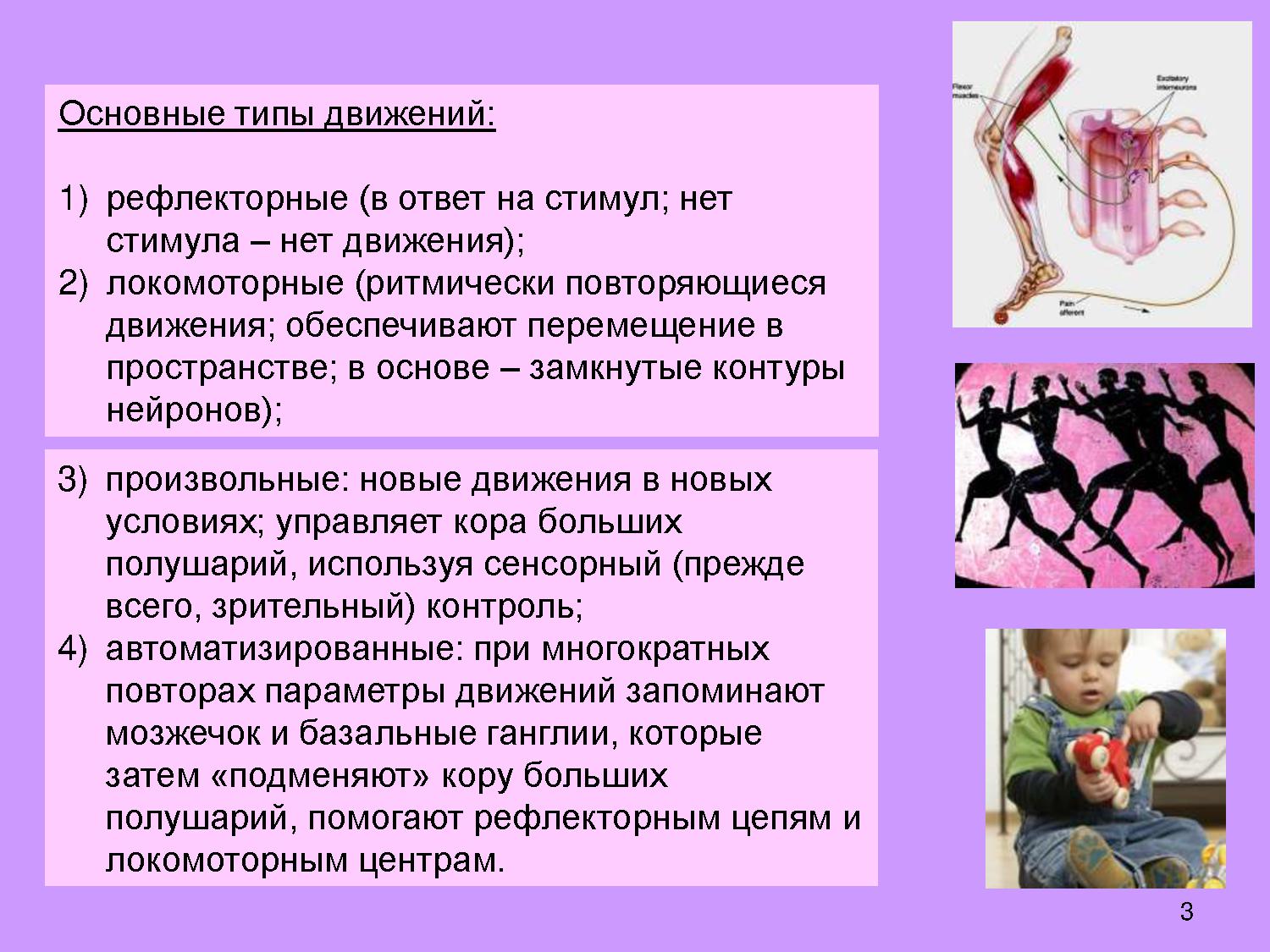 Произвольные и автоматизированные движения | Дефектология Проф