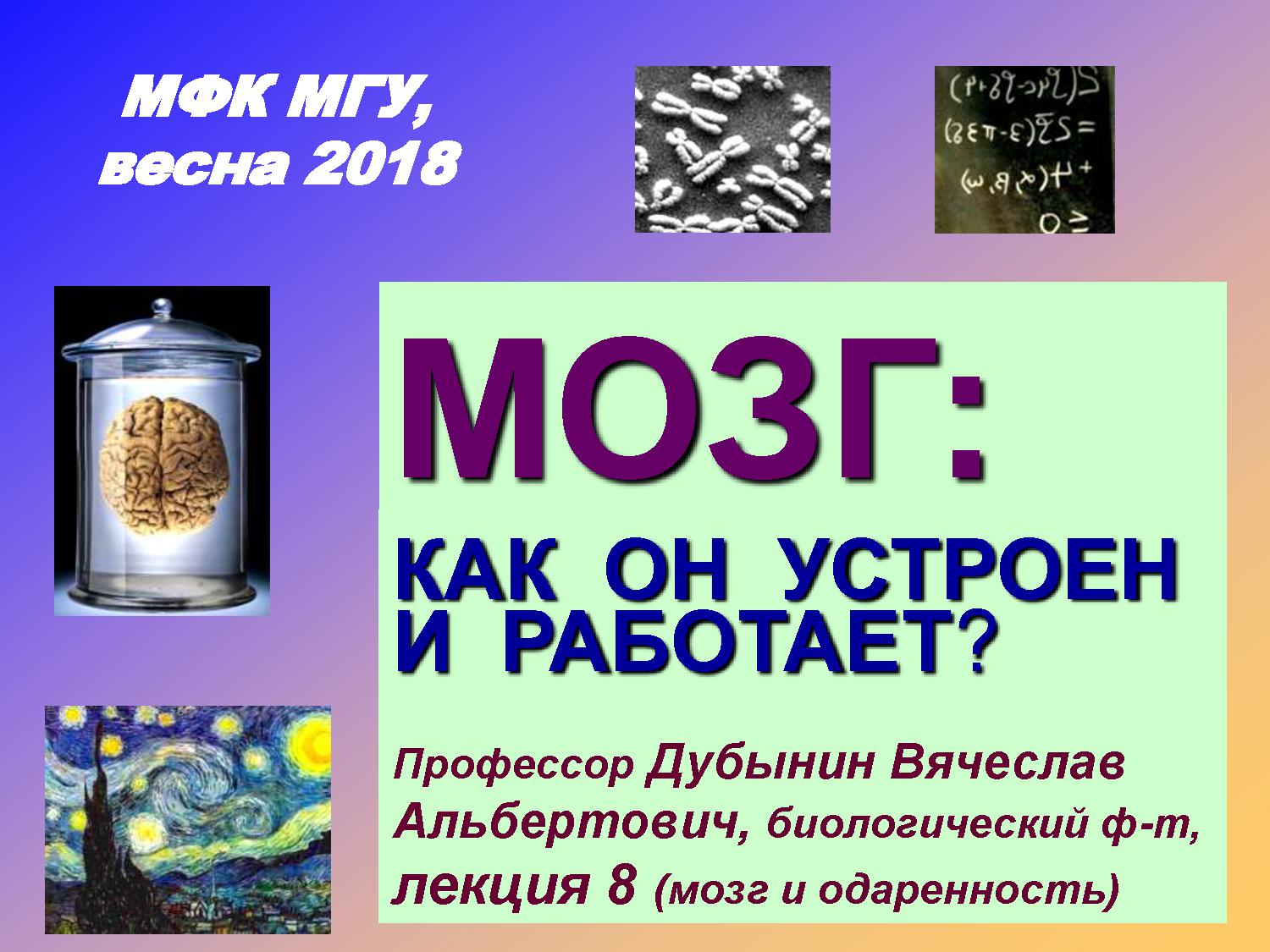 Мозг и одаренность