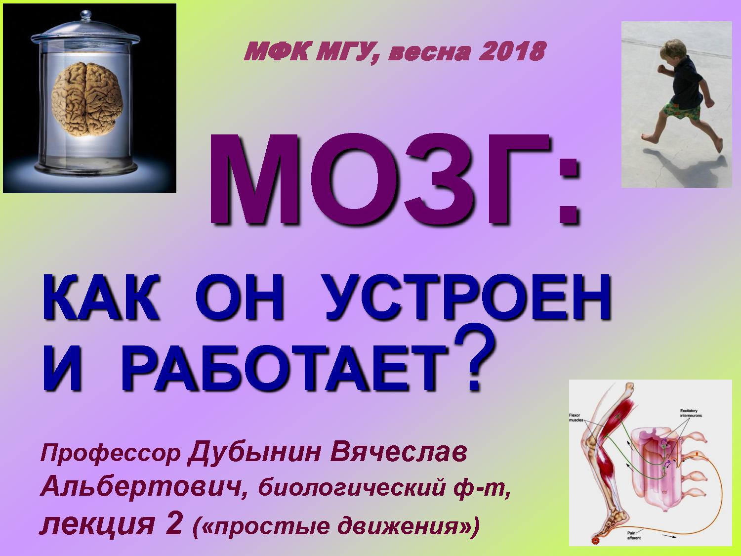 Рефлексы и прочие врожденные программы центральной нервной системы