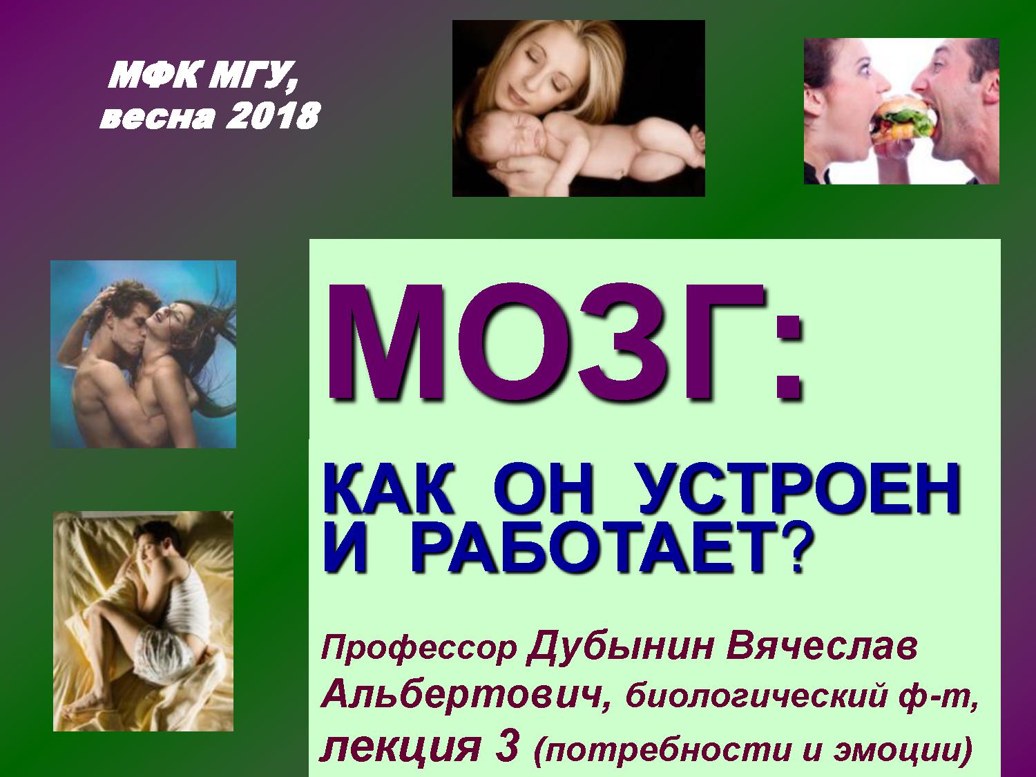 Потребности и мотивации, положительные и отрицательные эмоции: разнообразие, происхождение и назначение