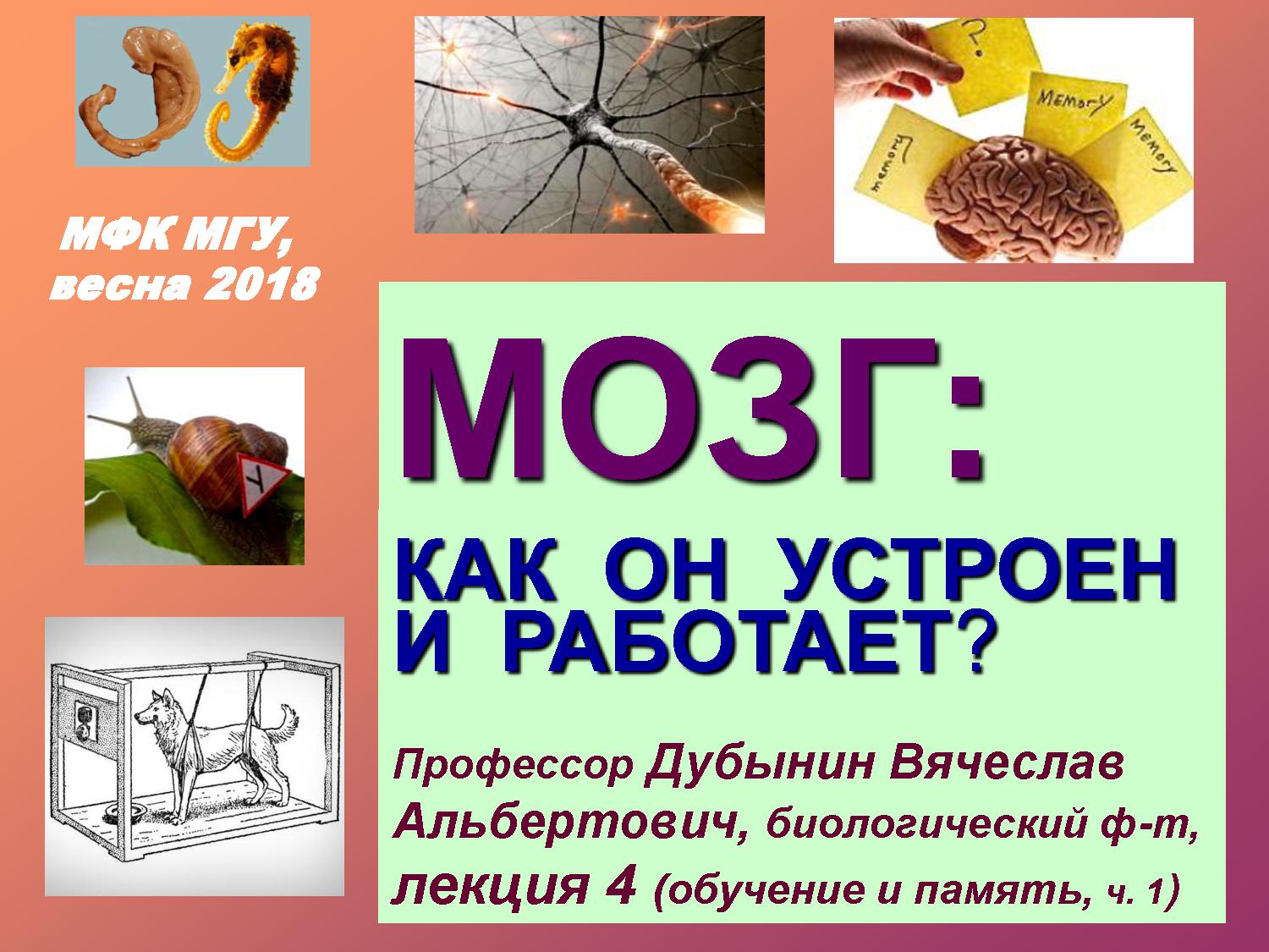 Обучение и формирование памяти: от И.П. Павлова и бихевиористов до синапсов и оптогенетики