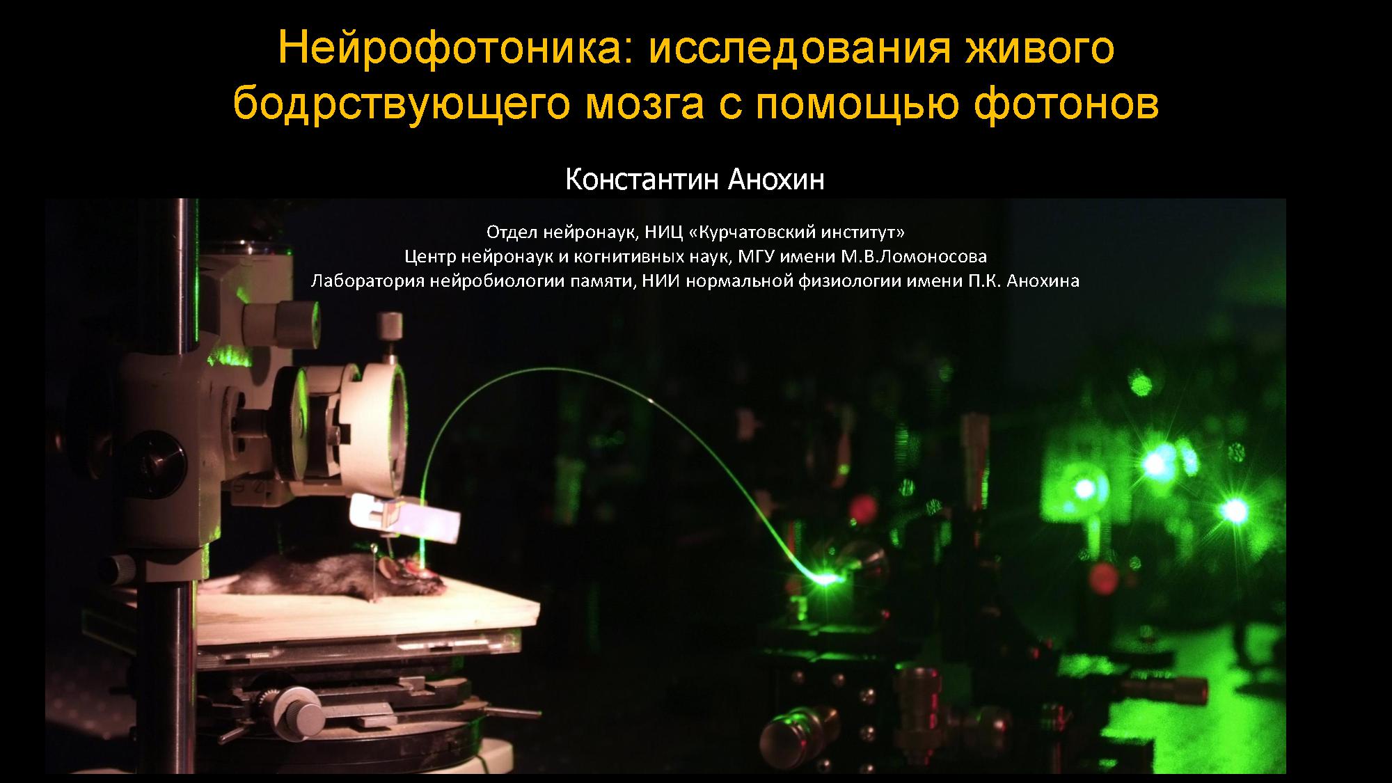 Нейрофотоника: оптические методы исследования и управления мозгом