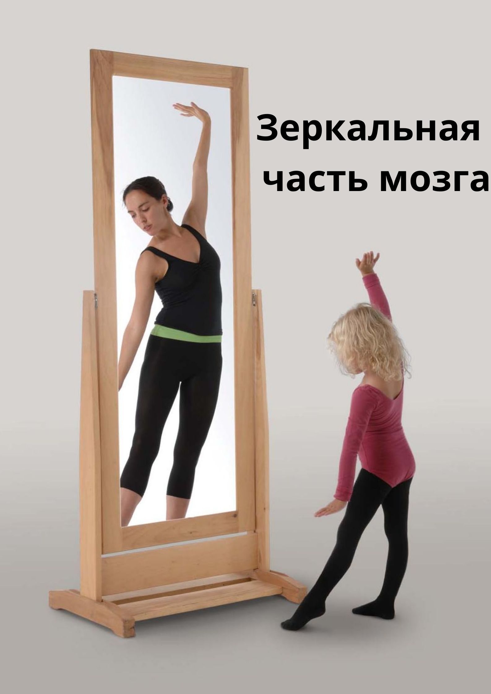 Зеркальная часть мозга