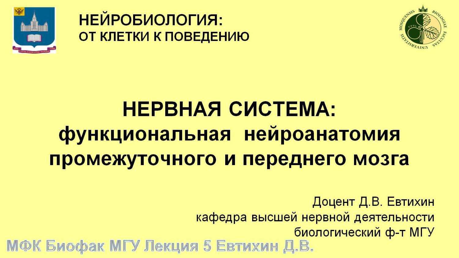 Файлы из библиотеки