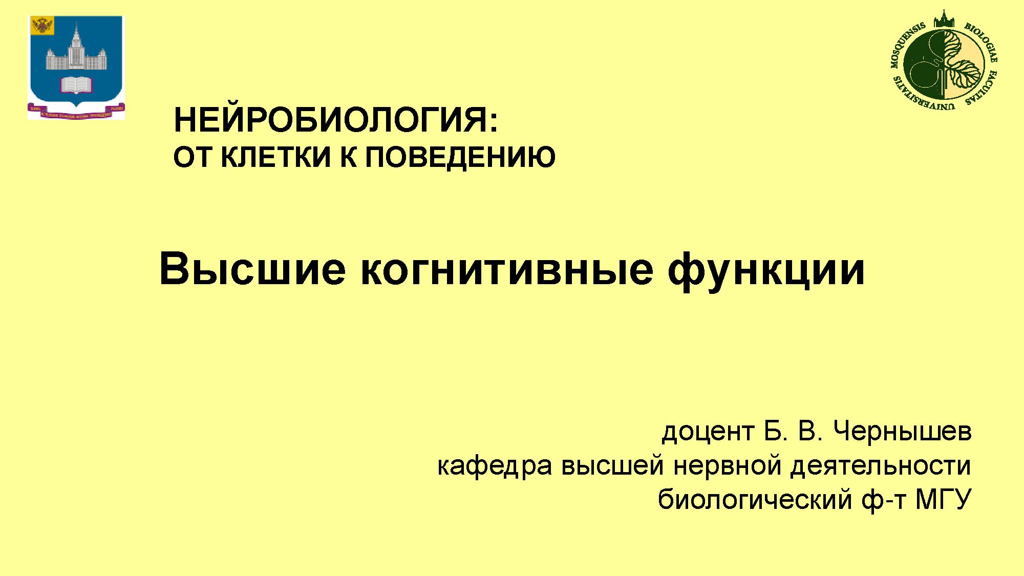 Высшие когнитивные функции | Дефектология Проф