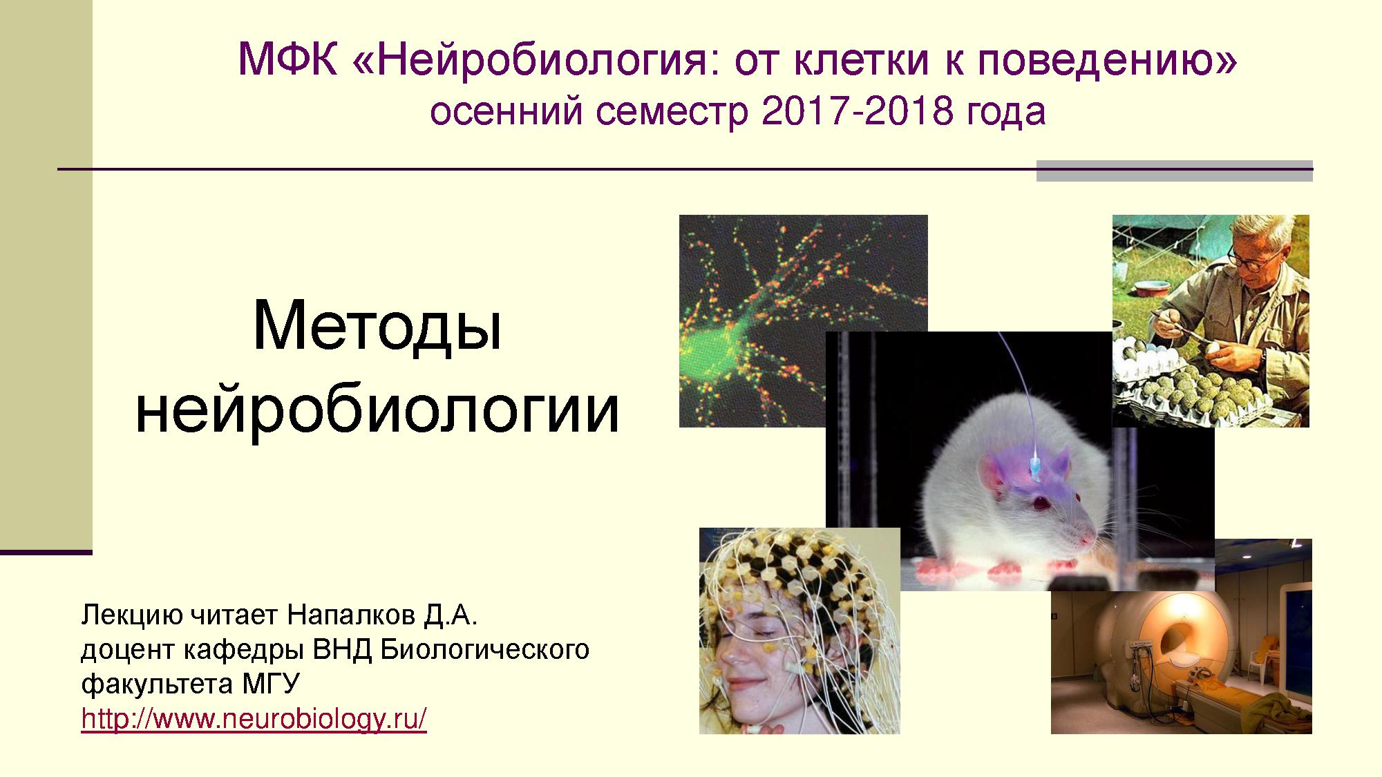 Методы нейробиологии