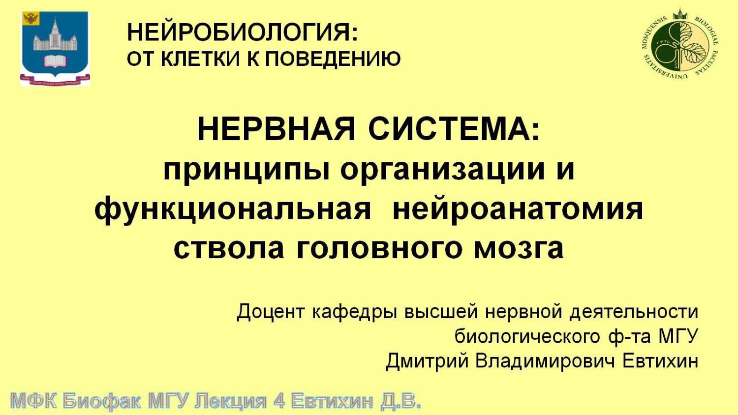 Принципы организации и функциональная нейроанатомия ствола головного мозга