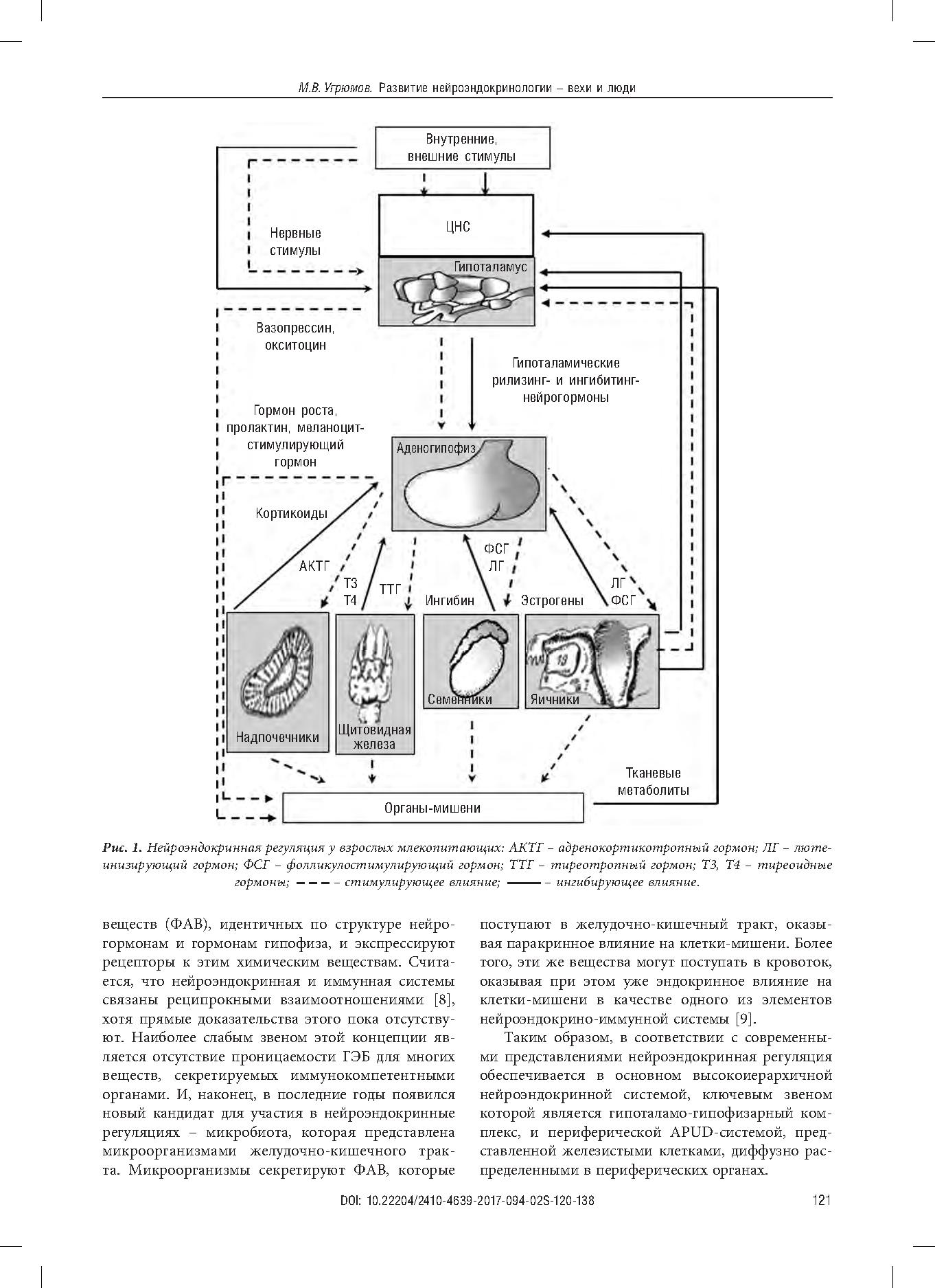 Развитие нейроэндокринологии – вехи и люди | Дефектология Проф