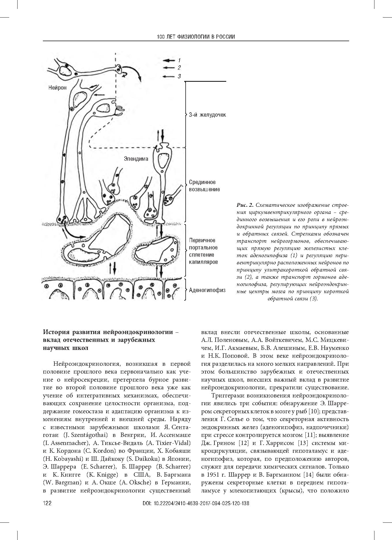 Развитие нейроэндокринологии – вехи и люди | Дефектология Проф
