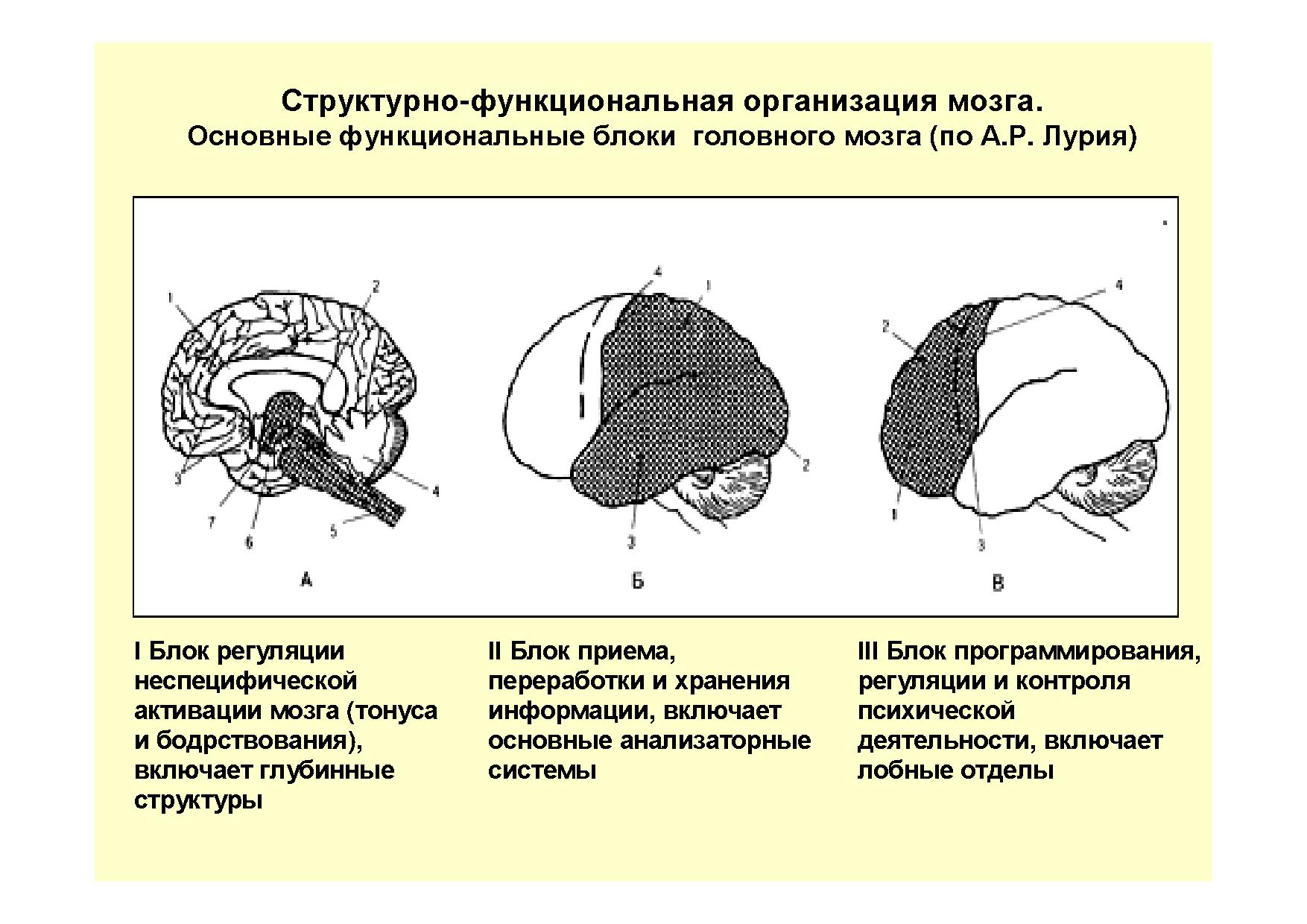 Три блока