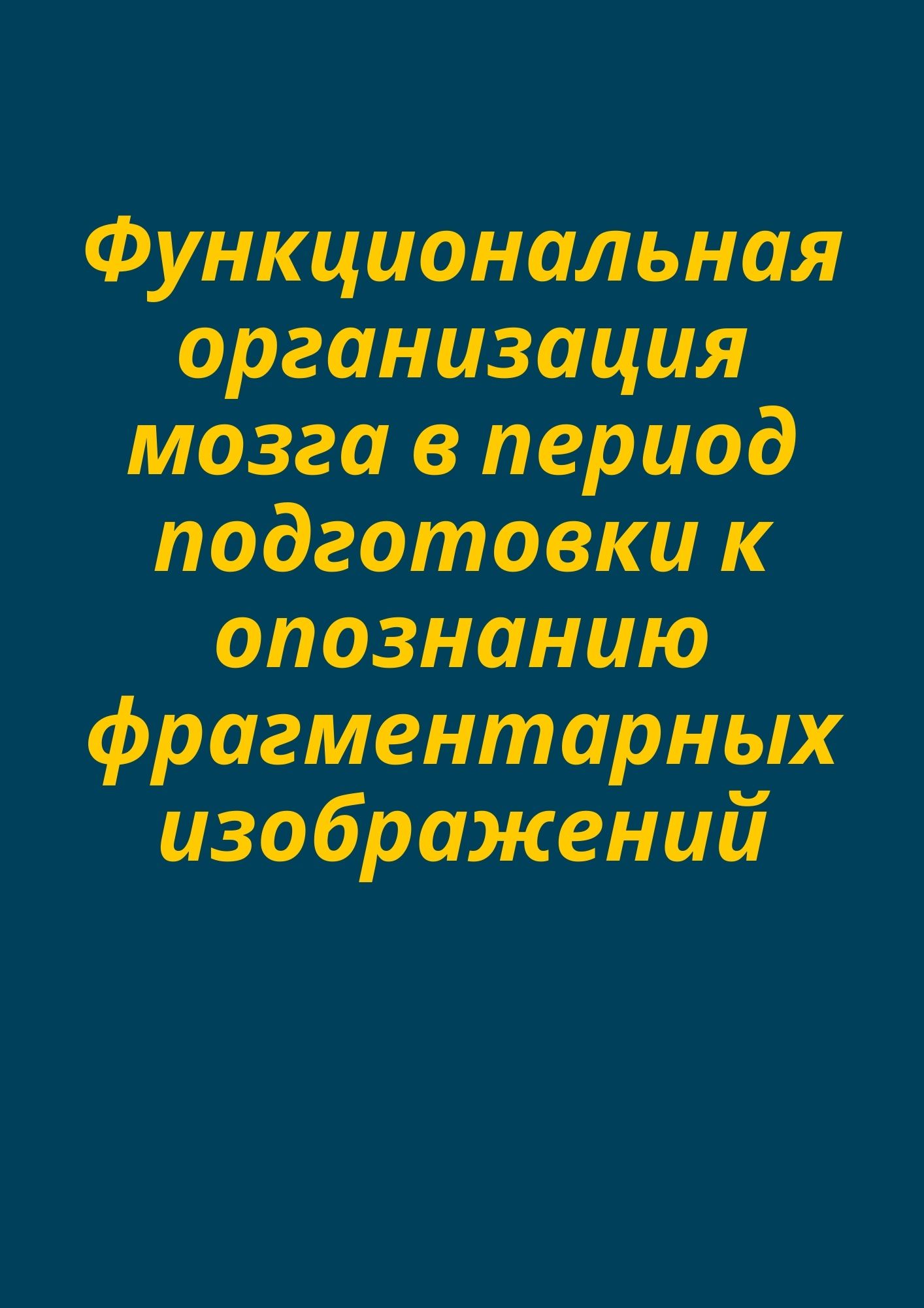 Функциональная организация мозга в период подготовки к опознанию фрагментарных изображений