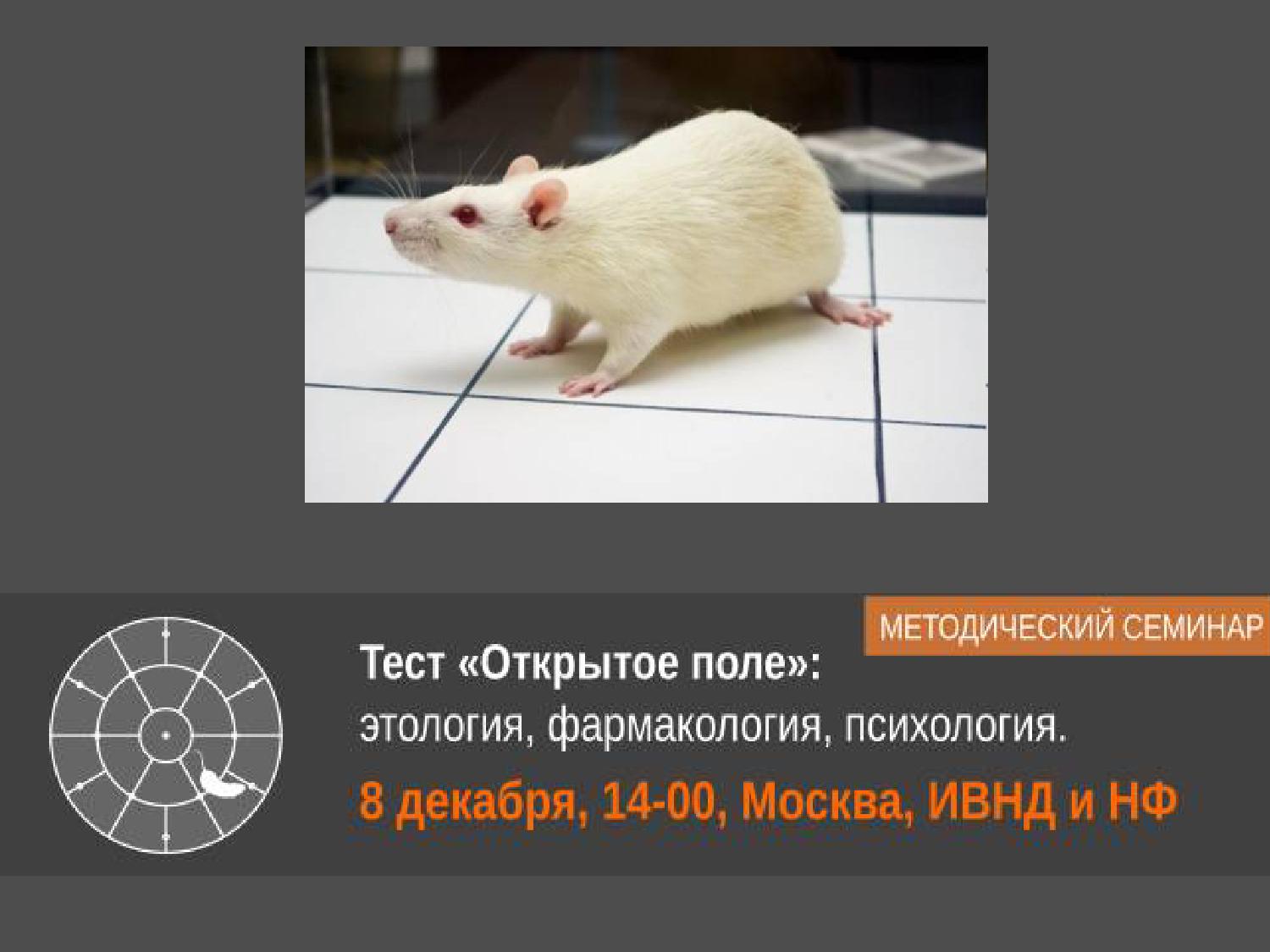 Файлы из библиотеки