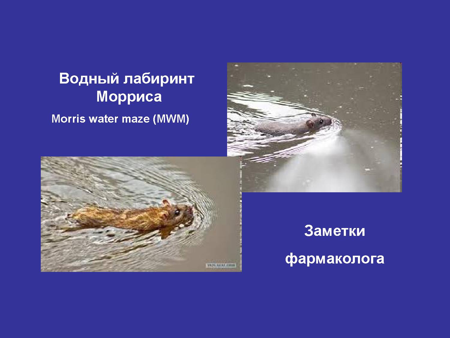 Файлы из библиотеки