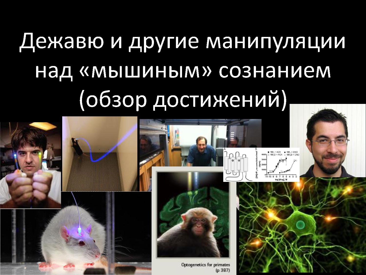 Дежавю и другие манипуляции с мышиным сознанием