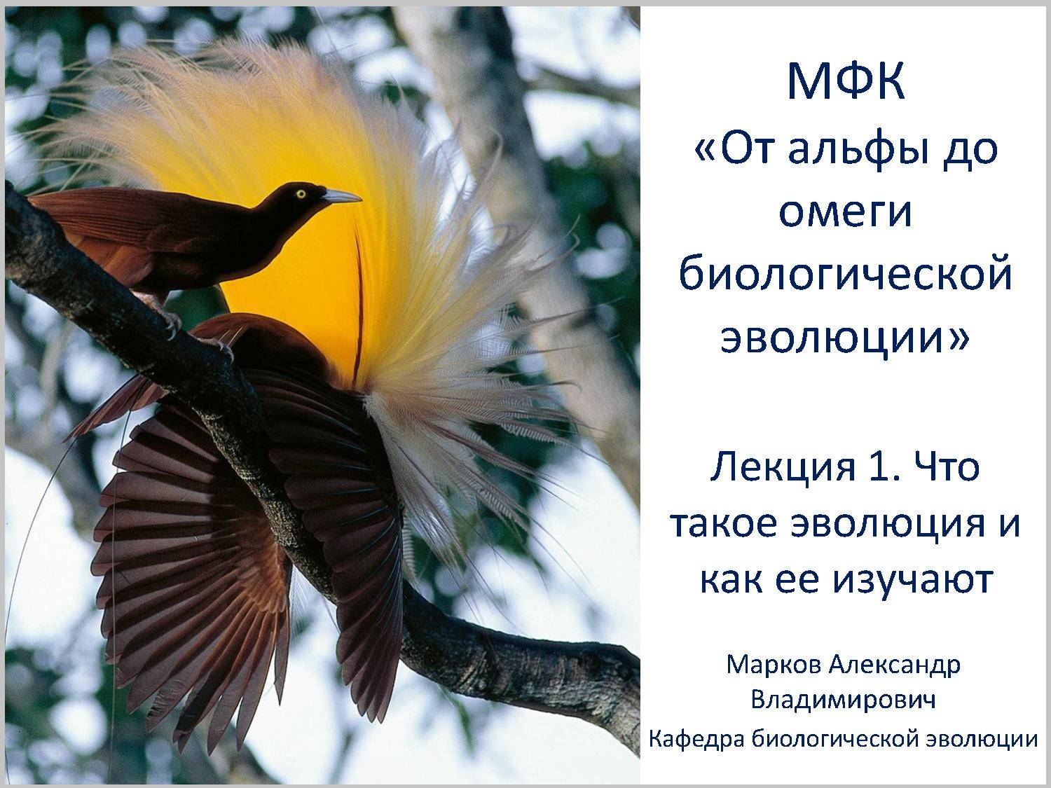 Что такое эволюция и как ее изучают