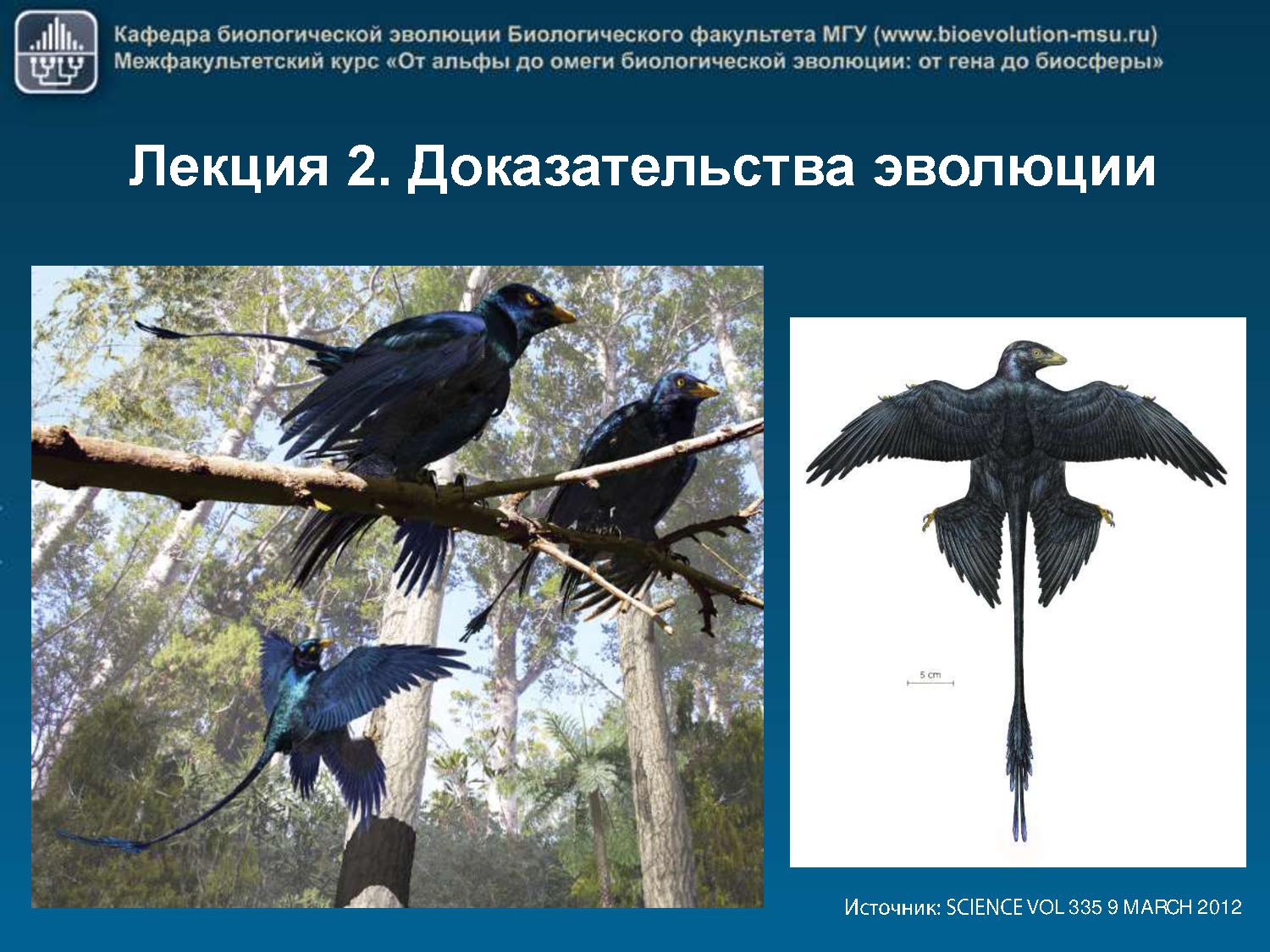Файлы из библиотеки