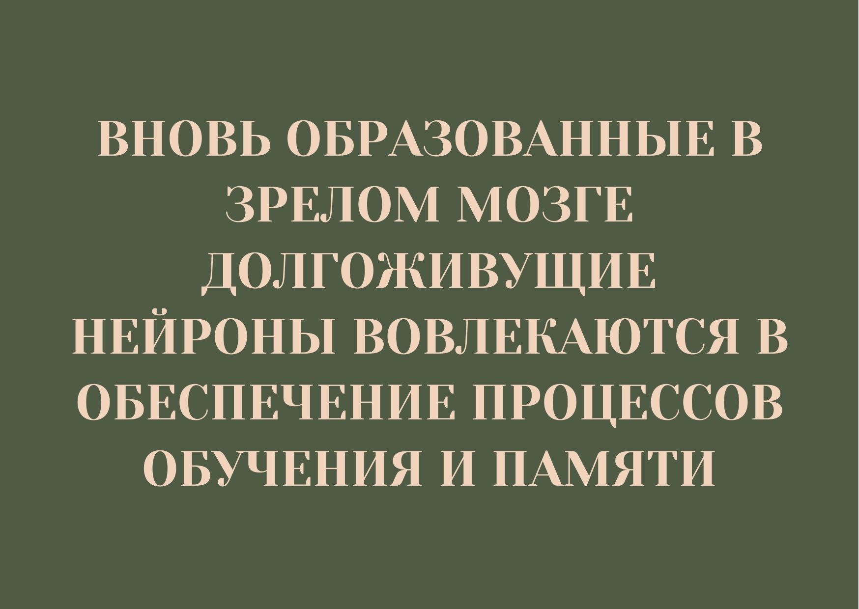 Вновь образованные в зрелом мозге долгоживущие нейроны вовлекаются в обеспечение процессов обучения и памяти