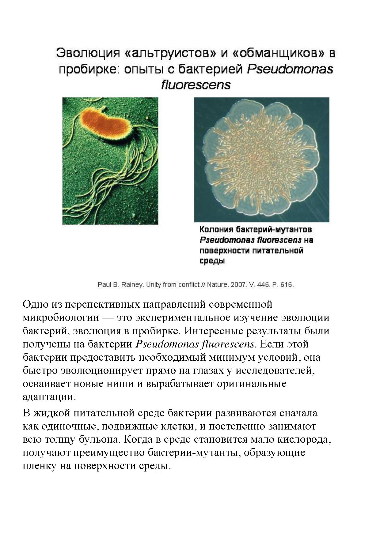 Эволюция кооперации и альтруизма: от бактерий до человека | Дефектология  Проф