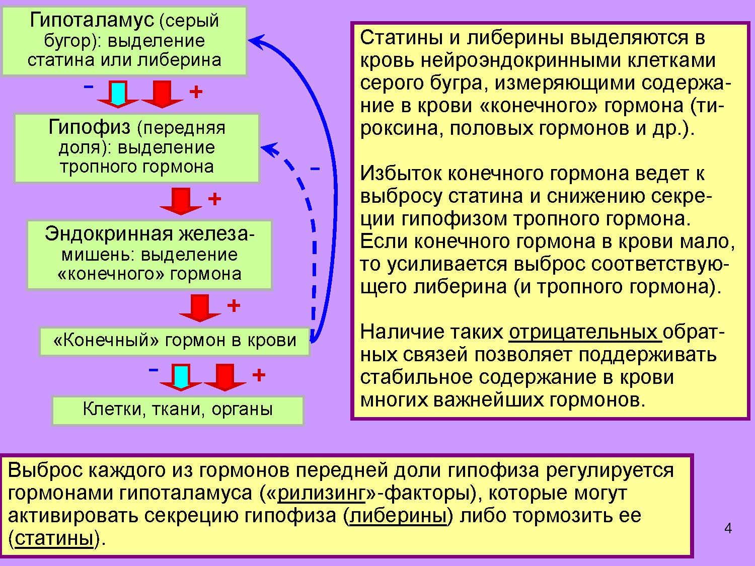 Мозг и потребности: что ещё? | Дефектология Проф