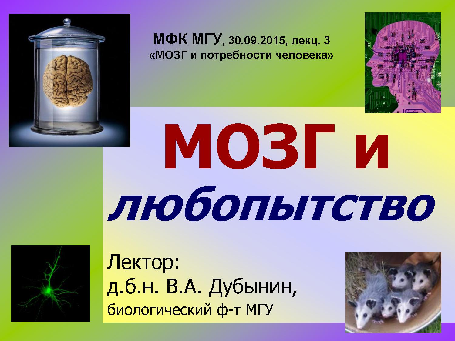 Мозг и новая информация (почему мы так любопытны)