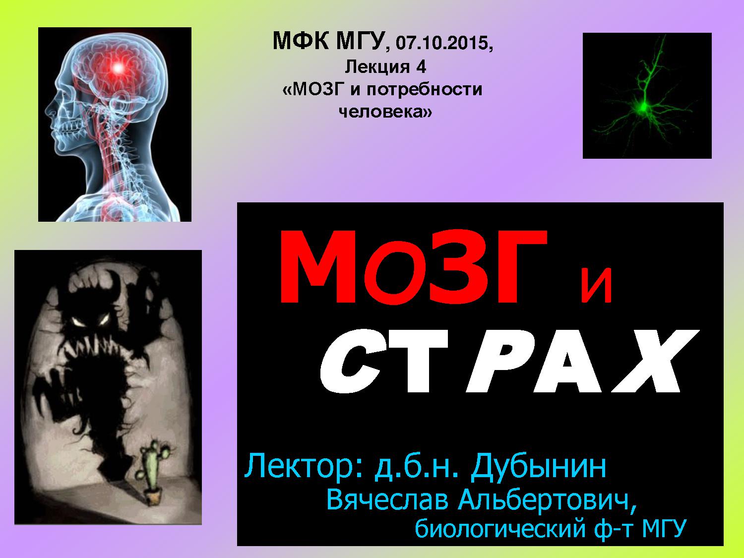 Мозг и страх