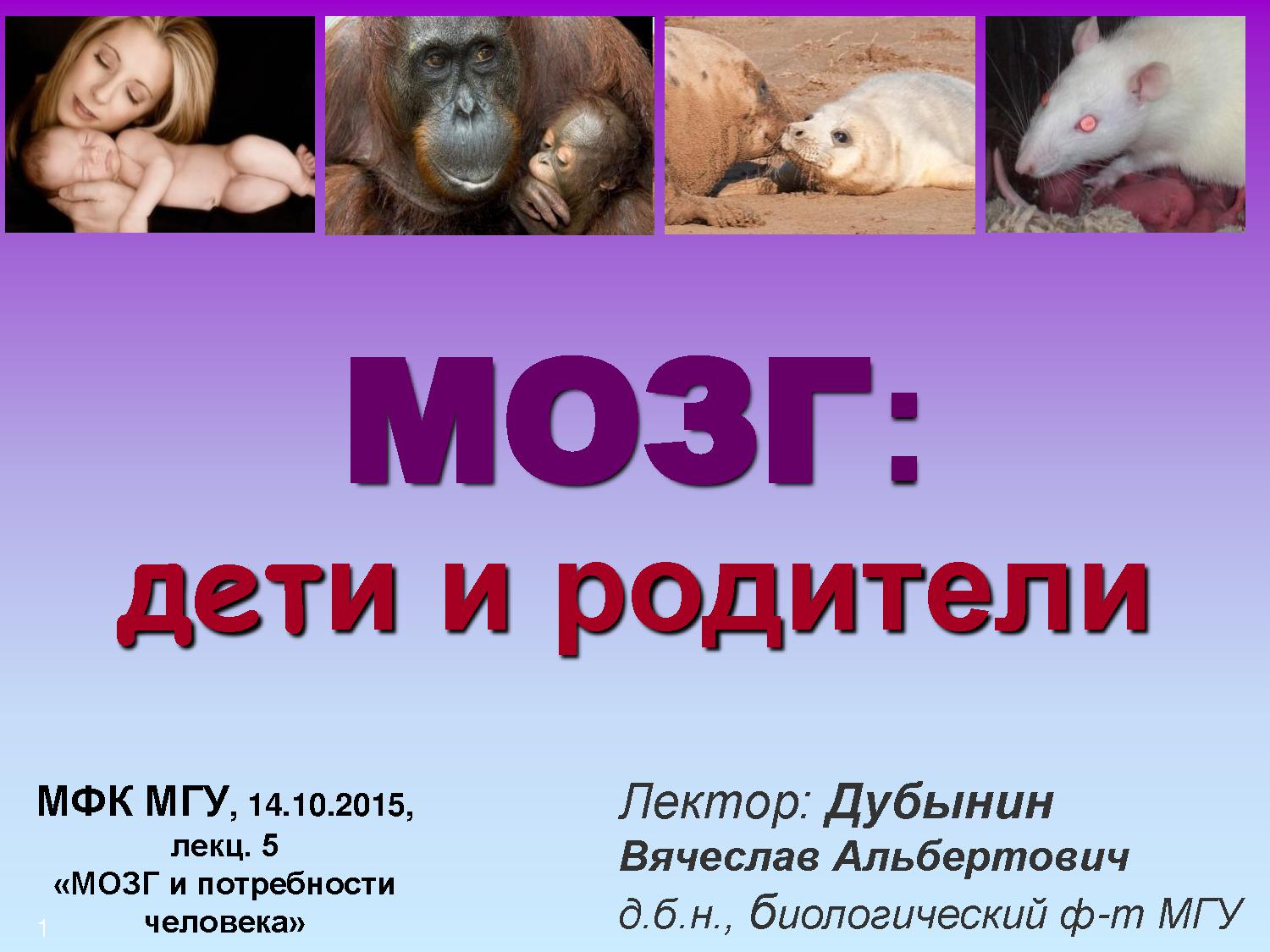 Мозг: дети и родители