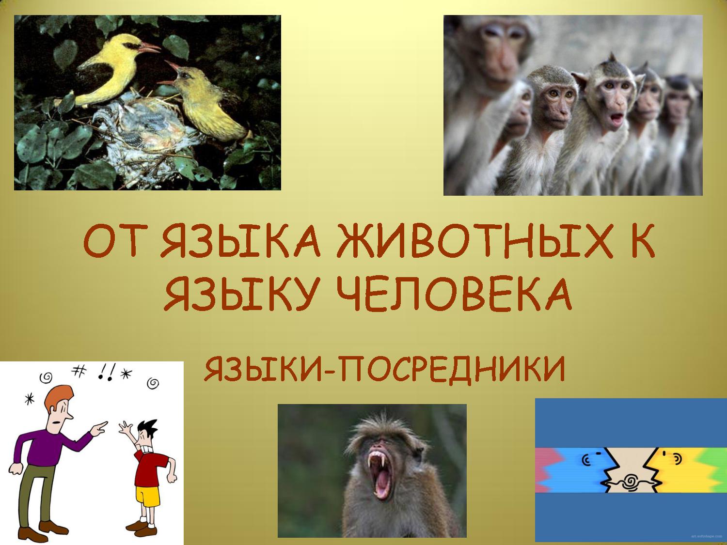 Включи язык зверей. Язык животных презентация. Язык животных и человека. Язык животных и человека презентация. Язык животных характеризуется.