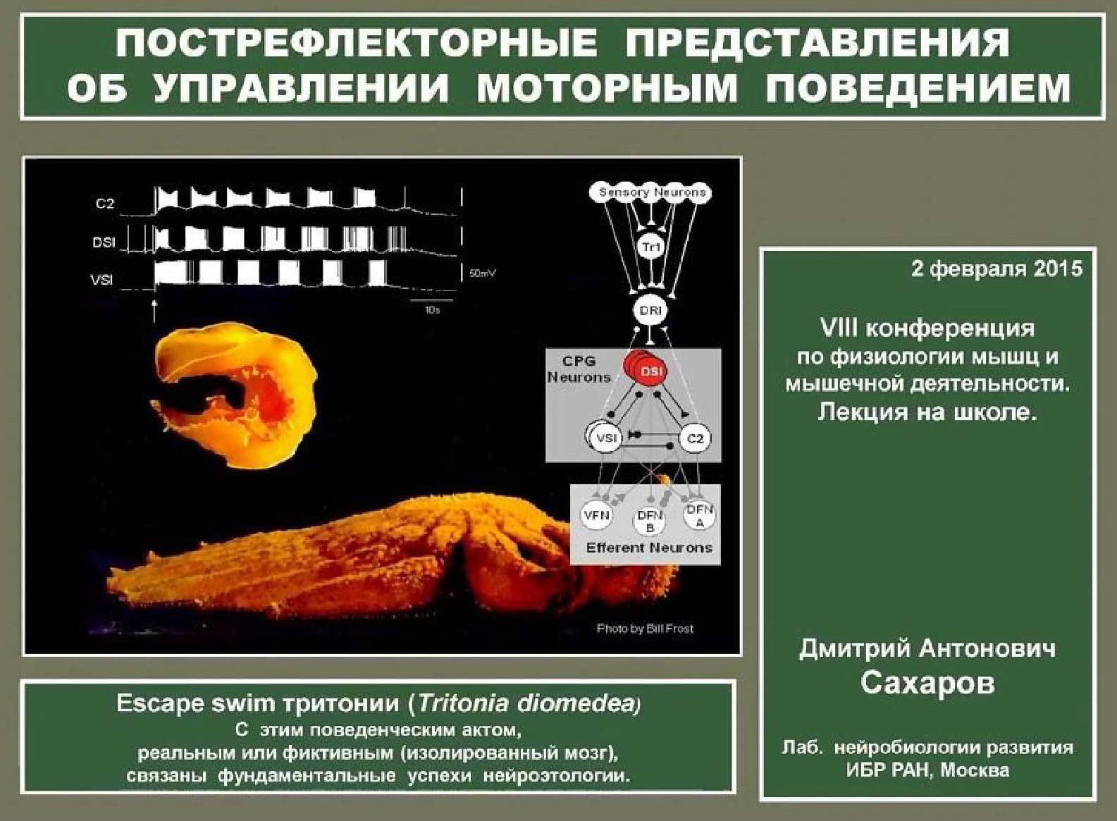 Долгое прощание с рефлекторной доктриной