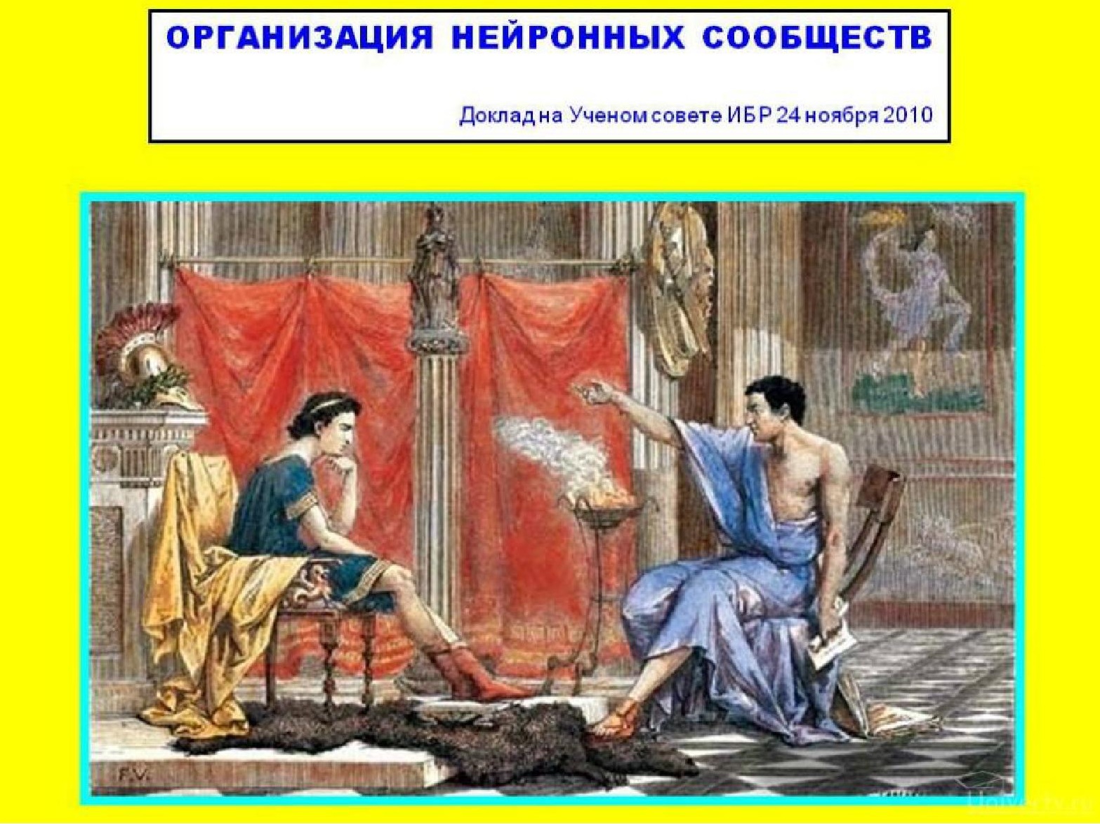 Организация нейронных сообществ