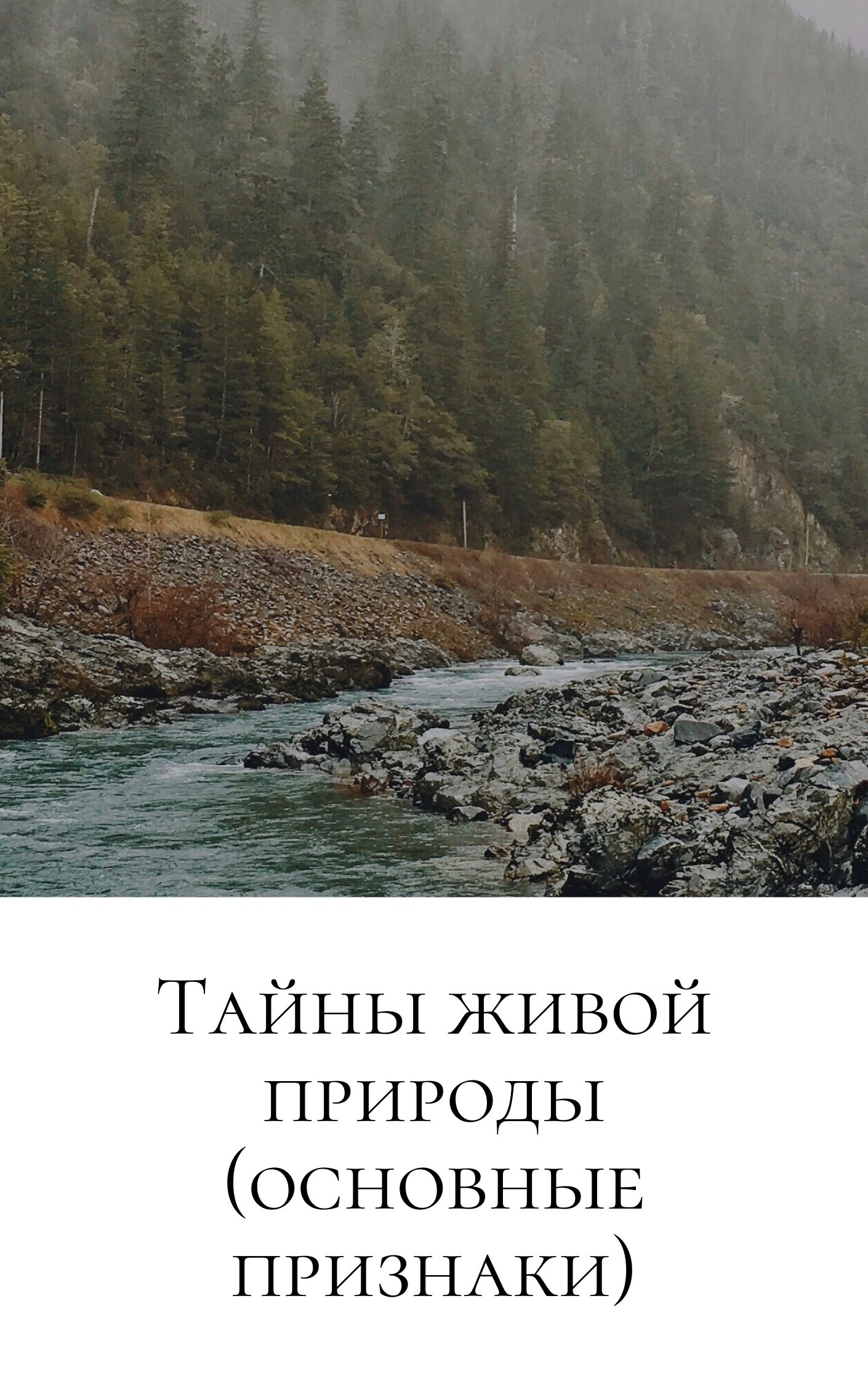 Тайны живой природы (основные признаки)