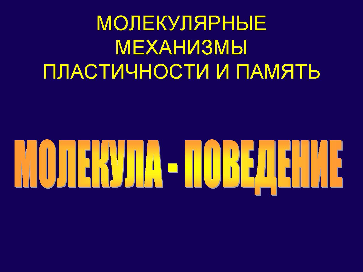 Молекулярные механизмы пластичности и память