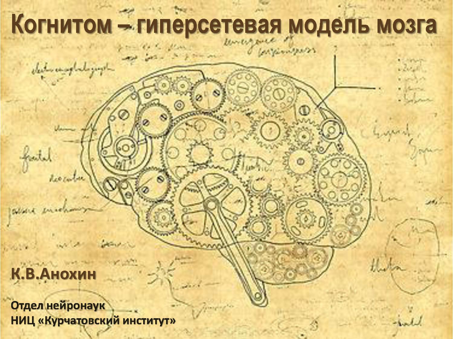 Мозг регистрация. Анохин Константин Гиперсетевая теория. Когнитом Анохина 2015. Гиперсетевая теория мозга. Теория нейронных гиперсетей.