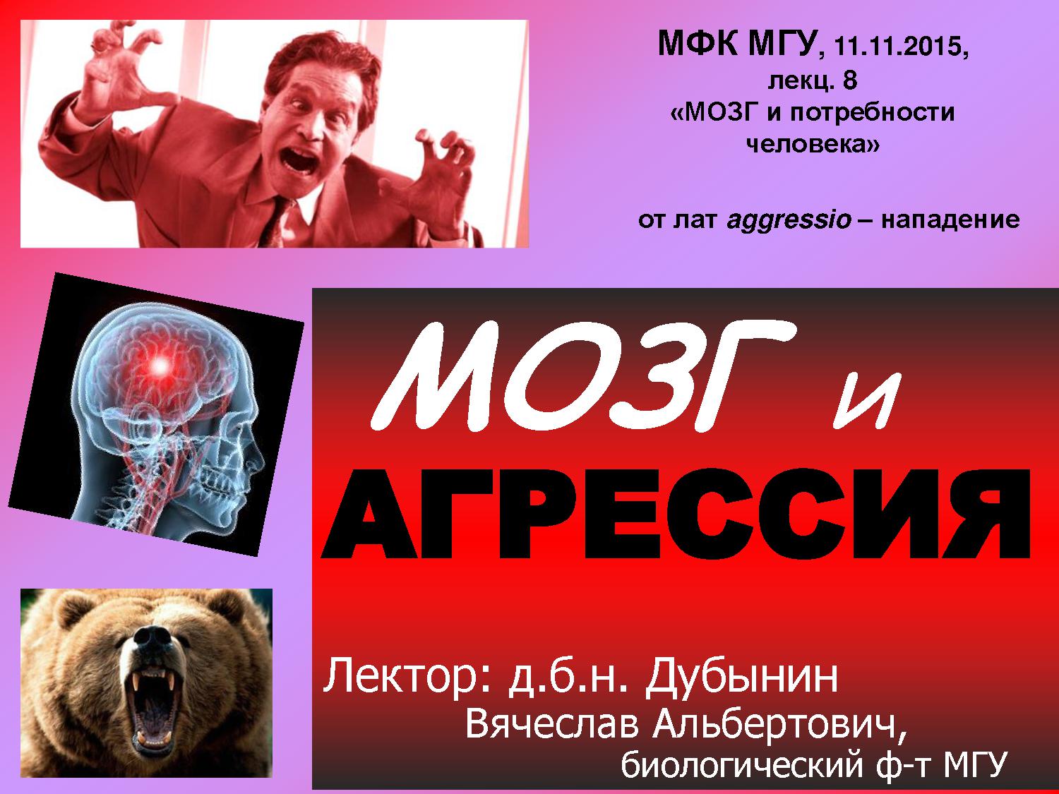 Мозг и агрессия