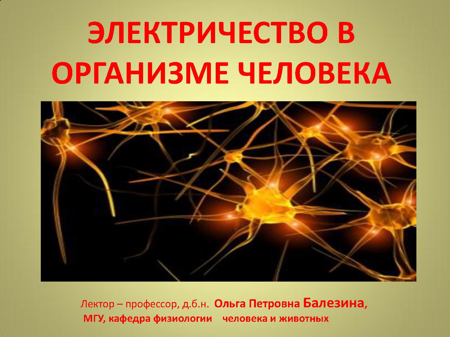 Ток в живых организмах. Электричество в организме. Тело человека электричество. Роль электричества. Электричество в живых организмах.