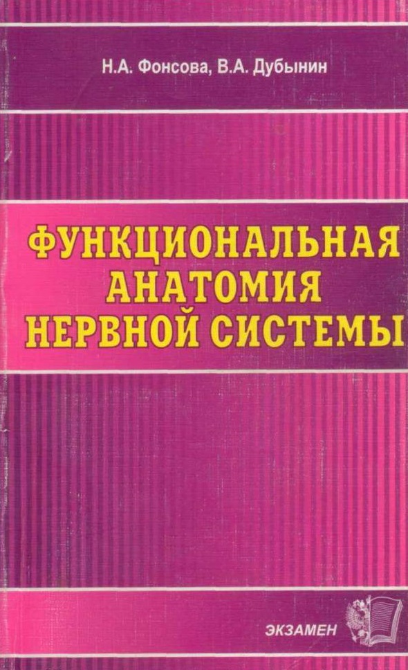 Функциональная анатомия нервной системы