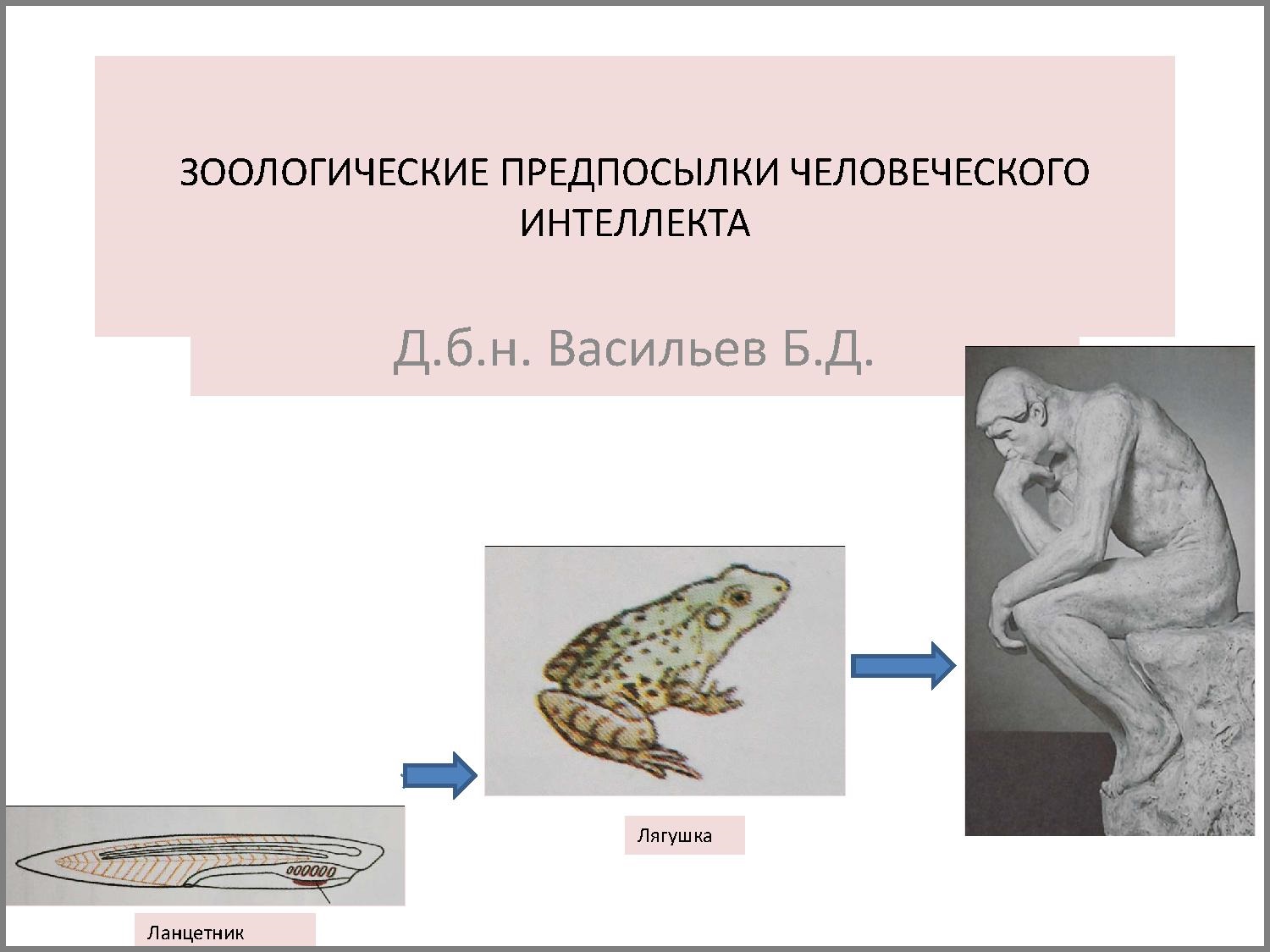 Зоологические предпосылки человеческого интеллекта