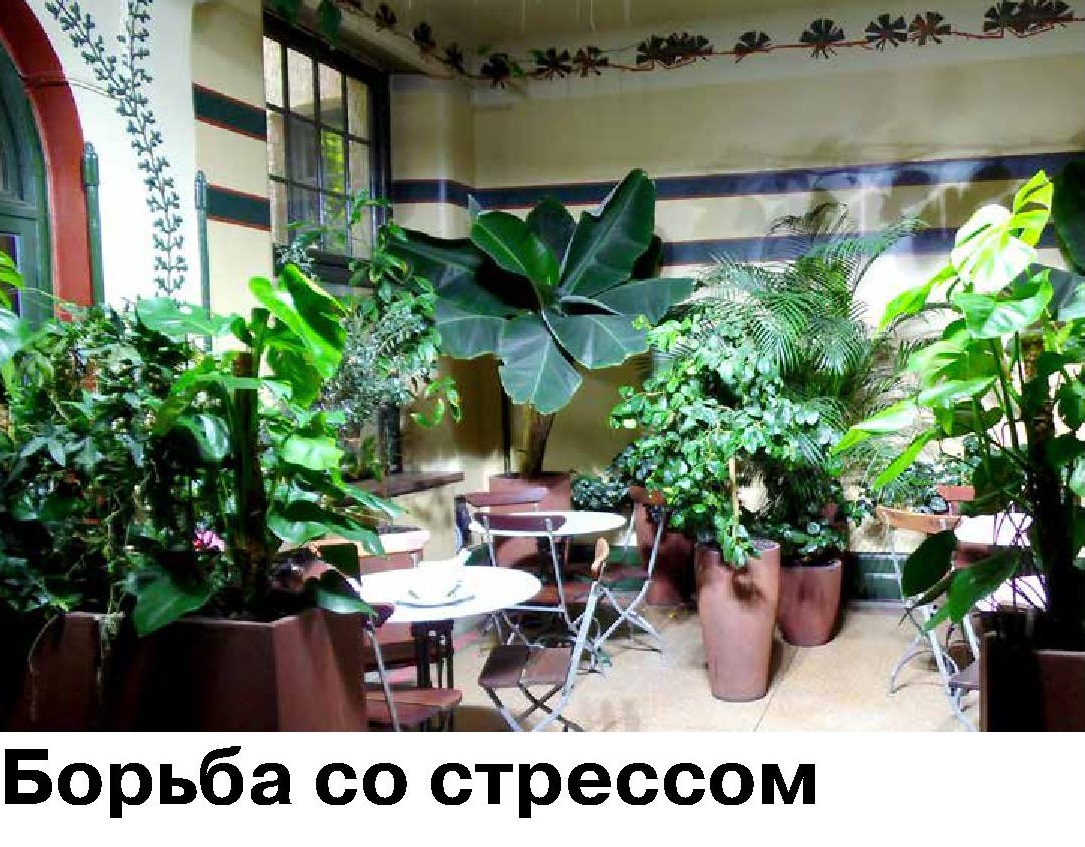 Борьба со стрессом