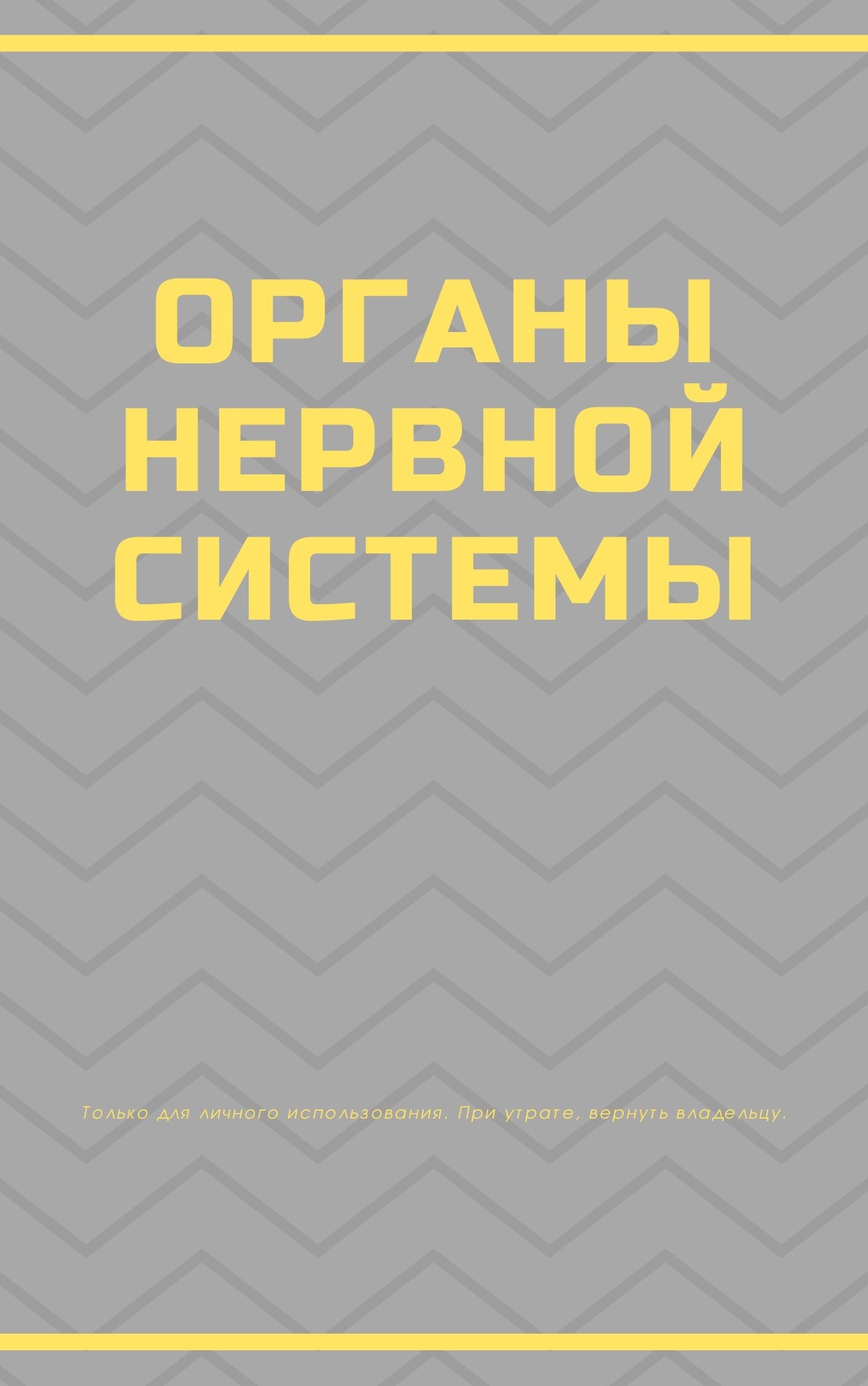 Органы нервной системы