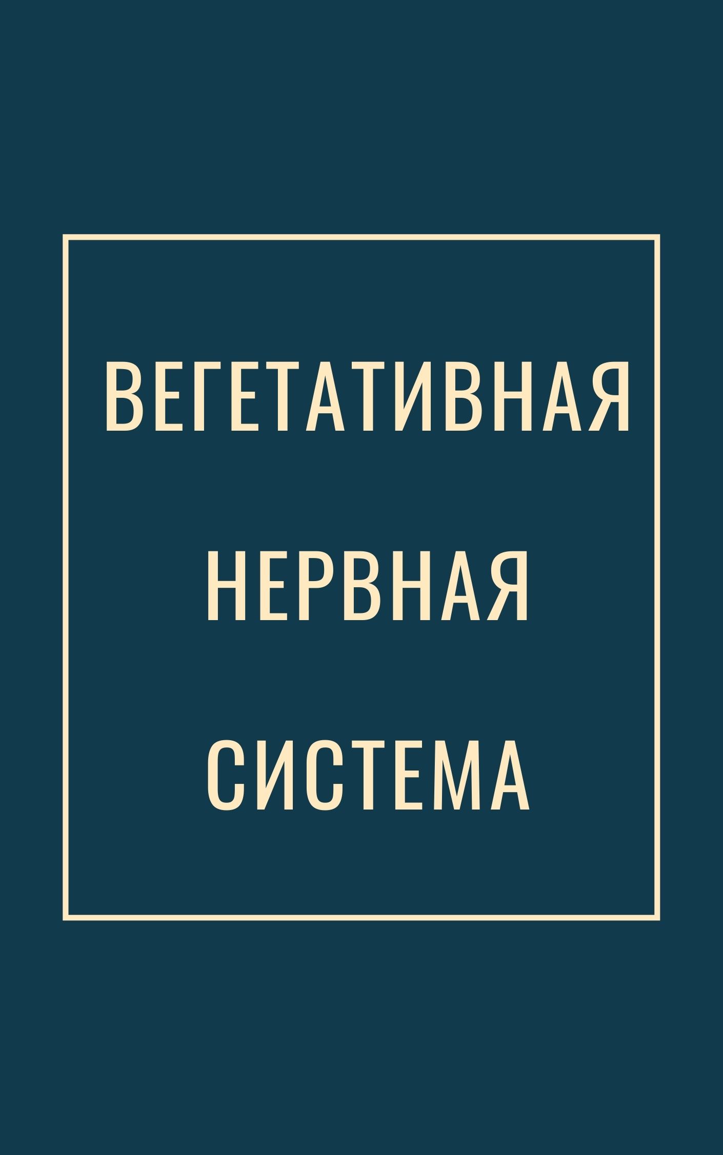 Вегетативная нервная система
