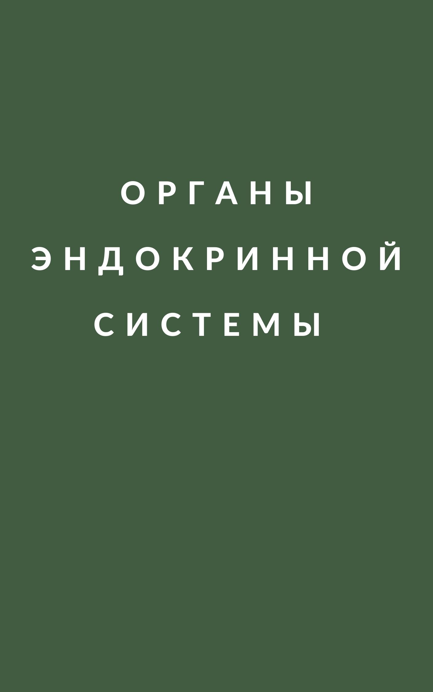 Органы эндокринной системы