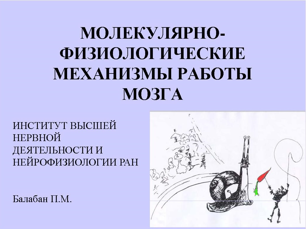 Молекулярно-физиологические механизмы работы мозга
