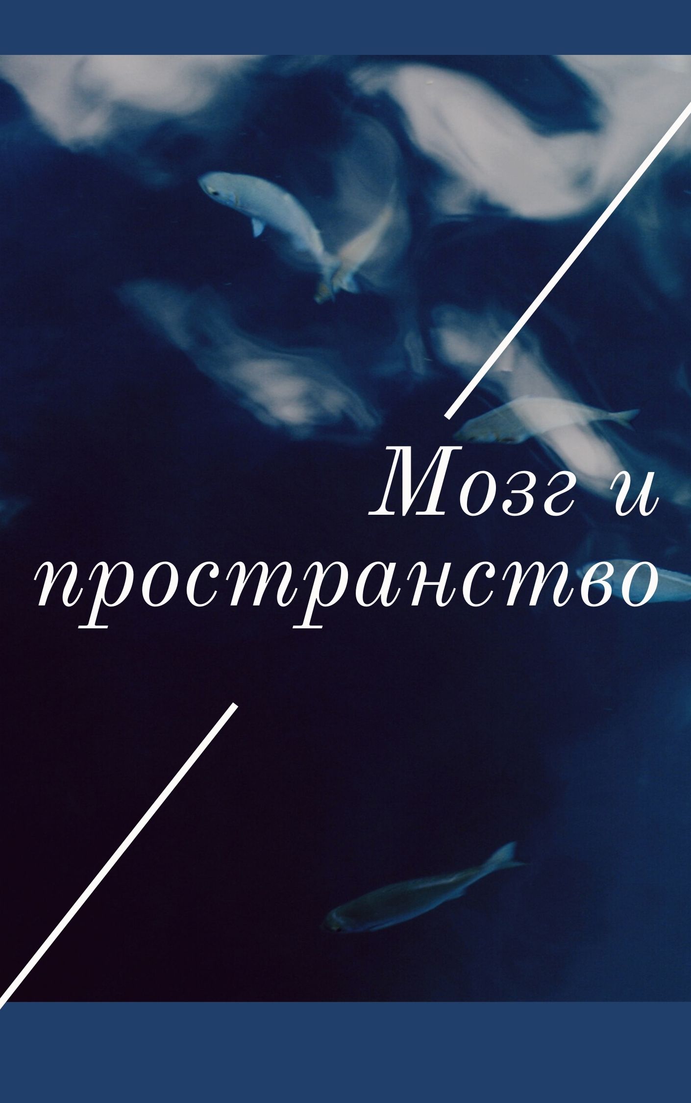 Мозг и пространство