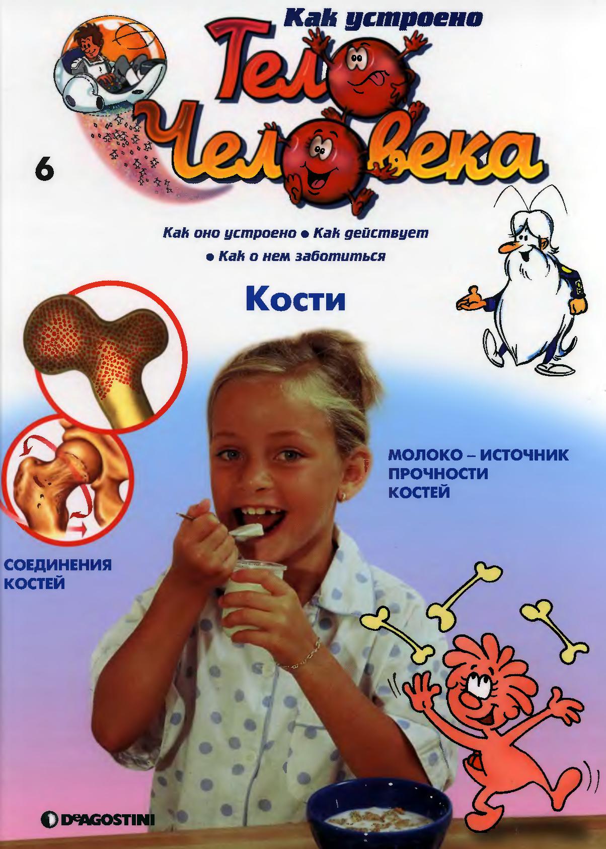 Тело человека. Кости