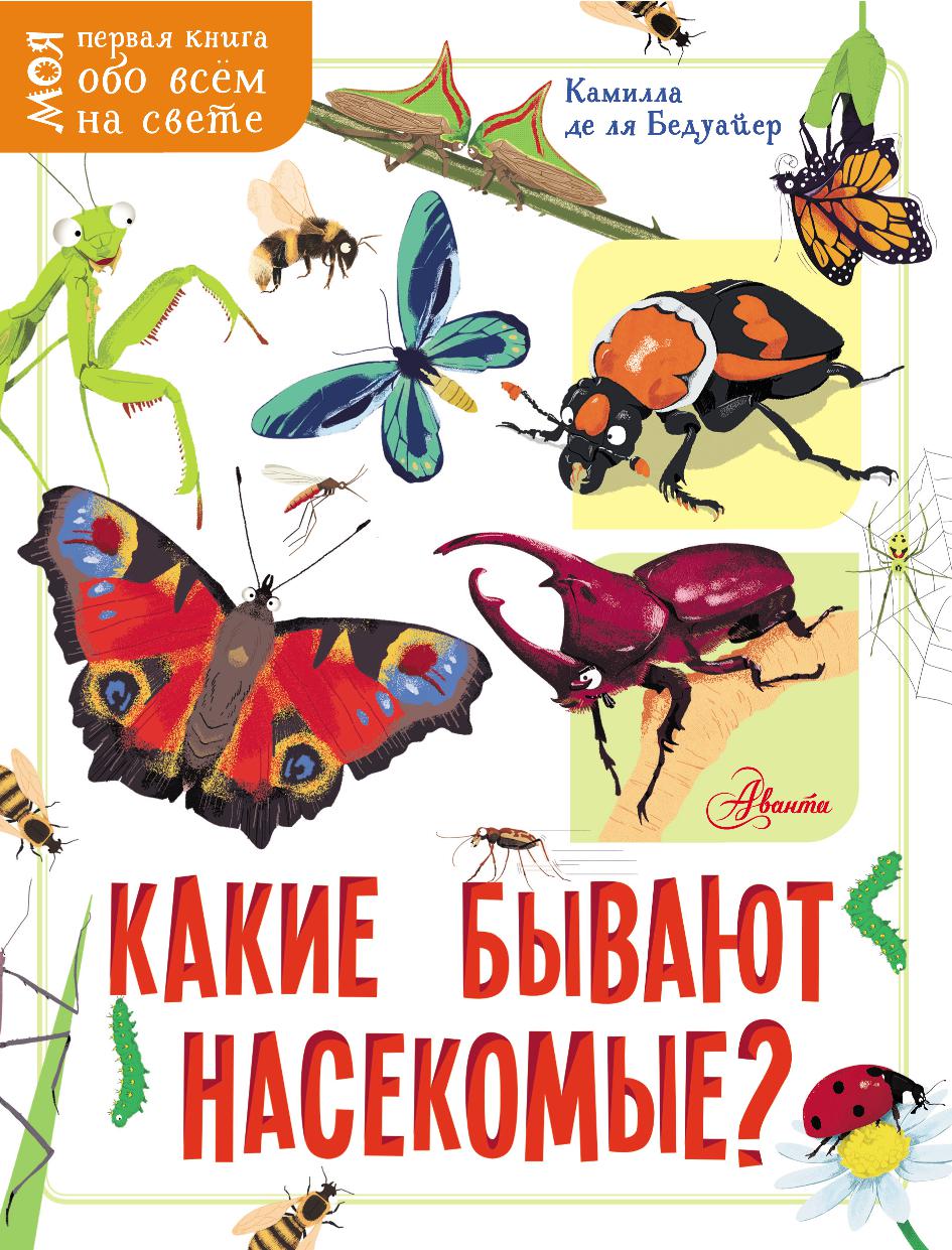 Какие бывают насекомые? | Дефектология Проф